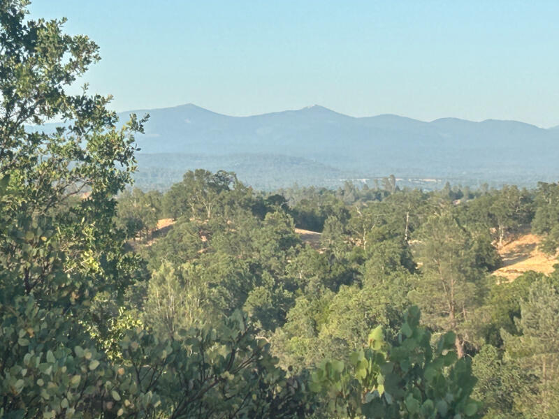 Wistful Vista Lane