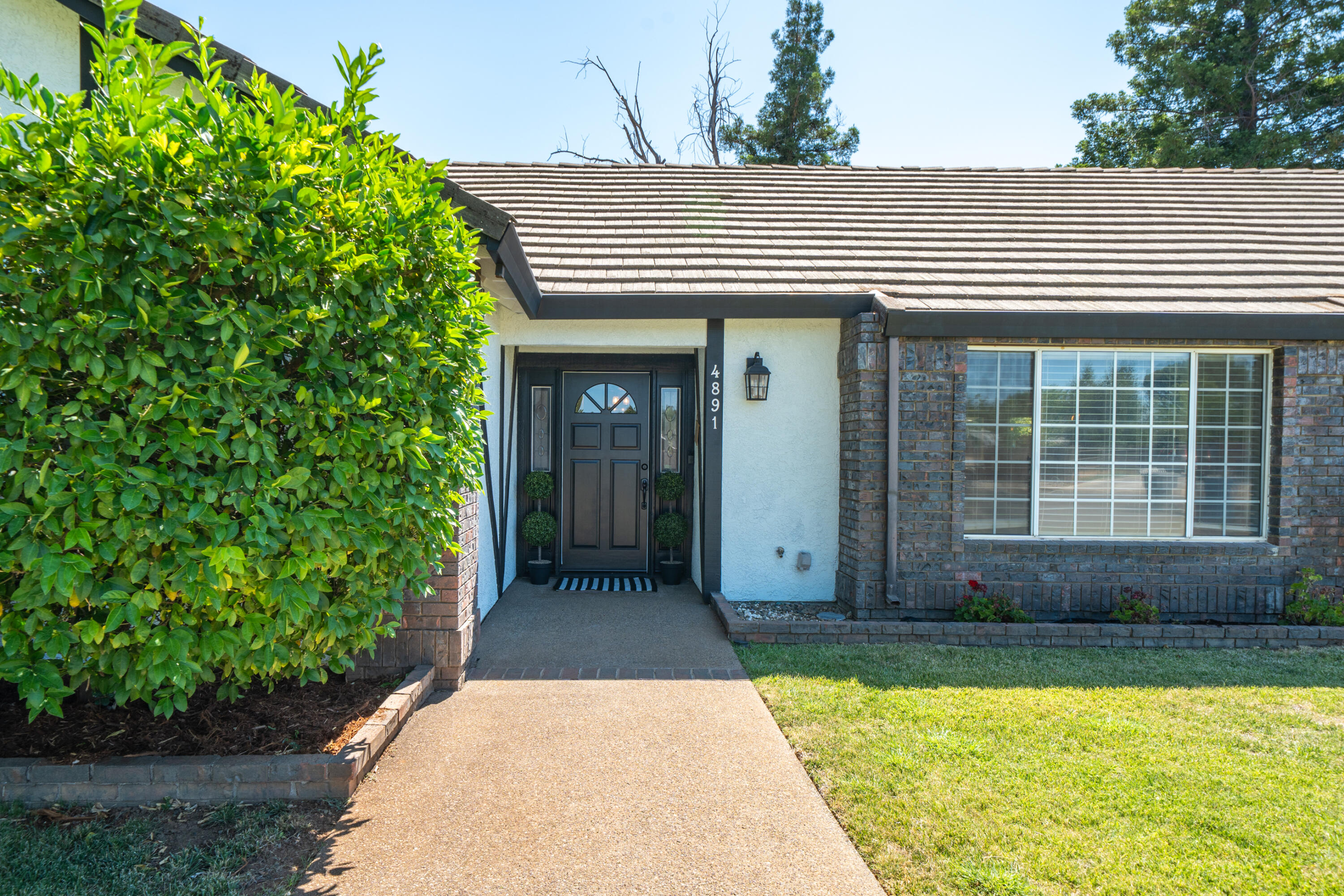4891 Alta Saga Drive