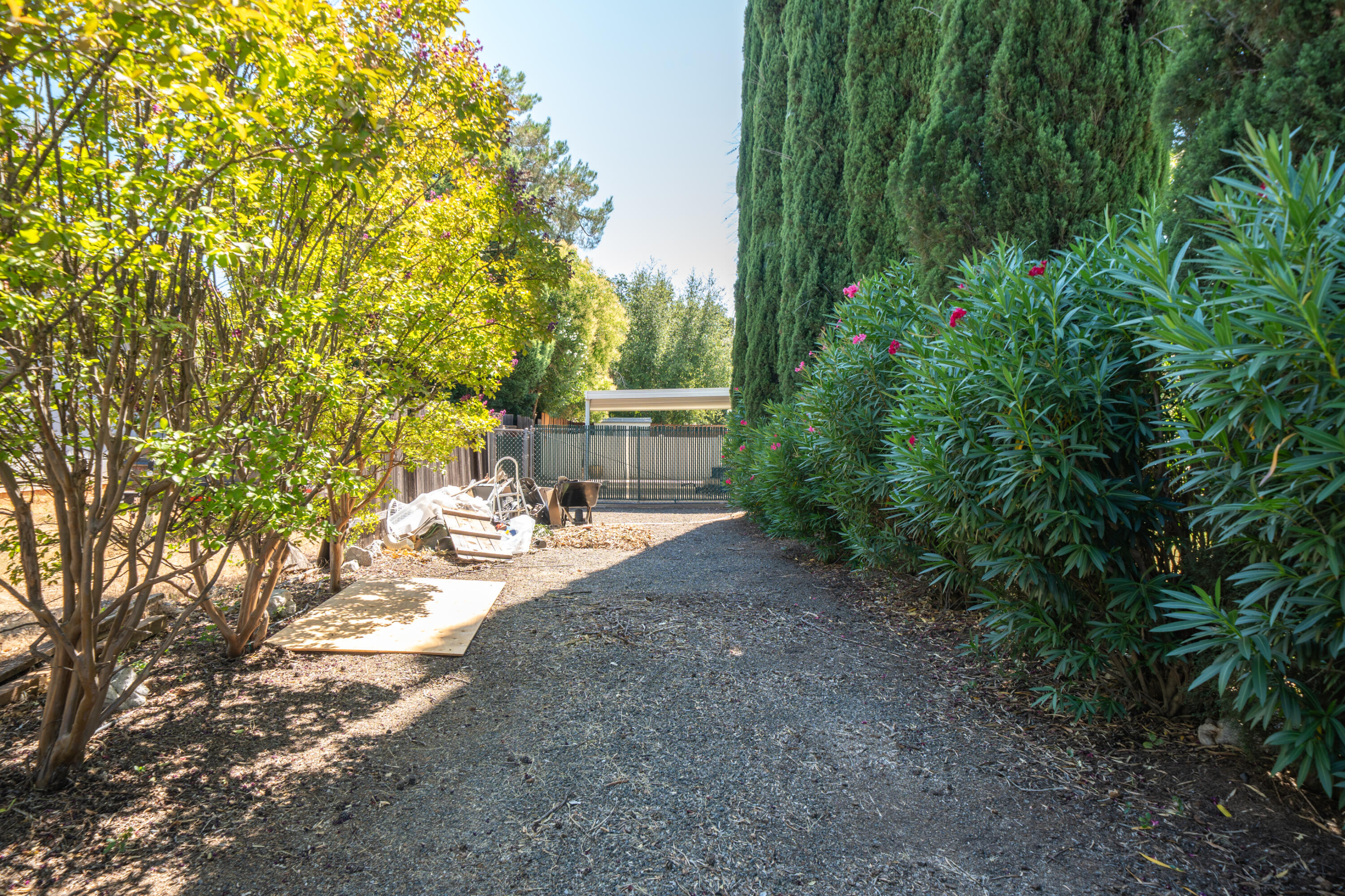 4891 Alta Saga Drive