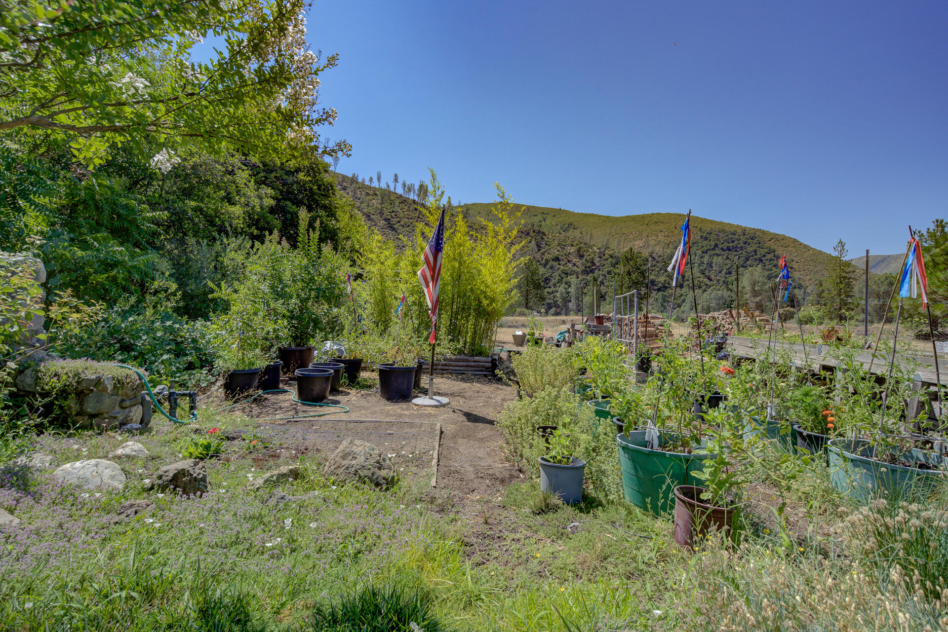 14925 Trinity Mountain Road