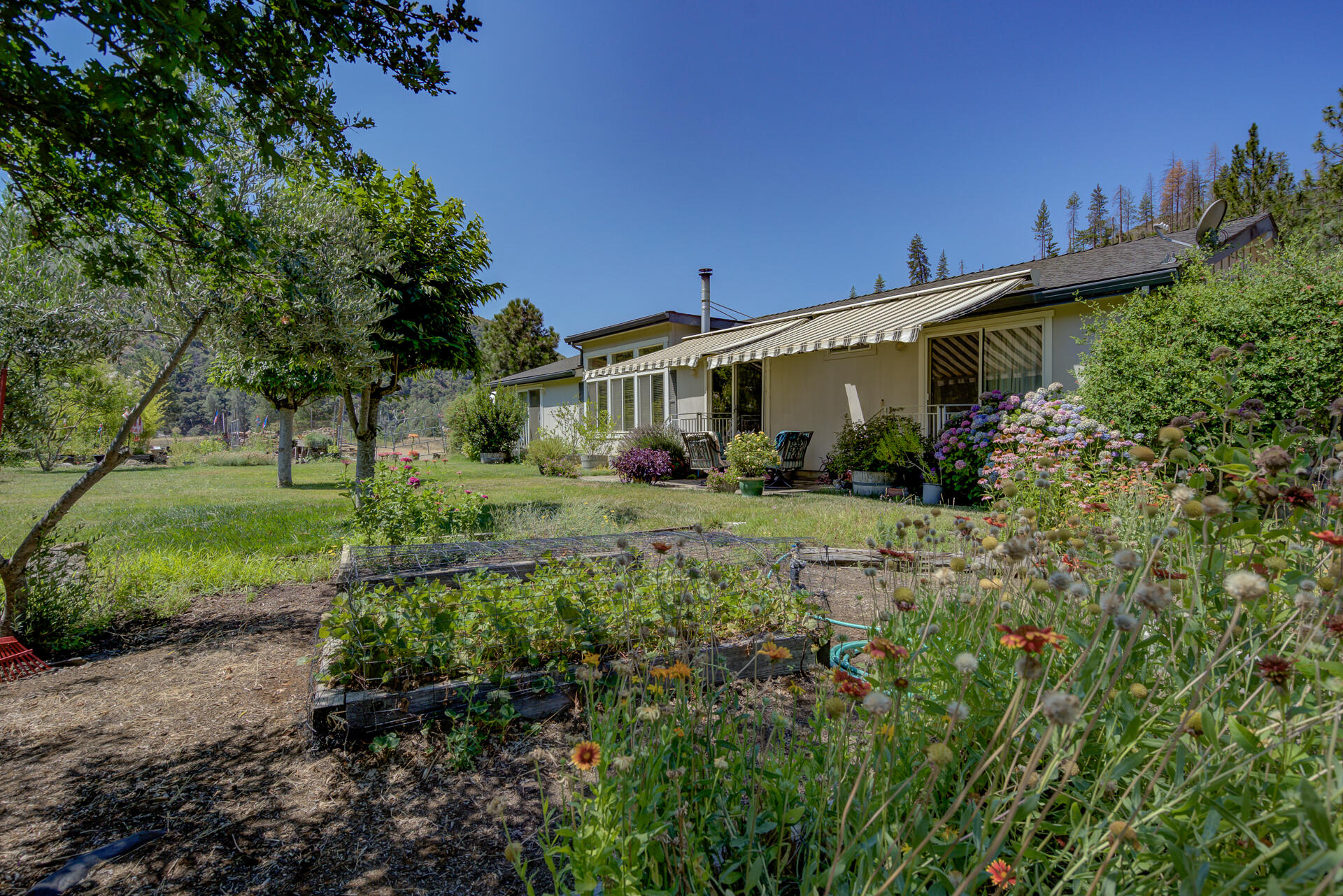 14925 Trinity Mountain Road