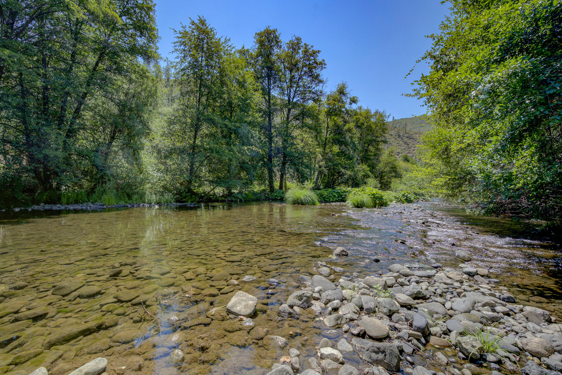 14925 Trinity Mountain Road