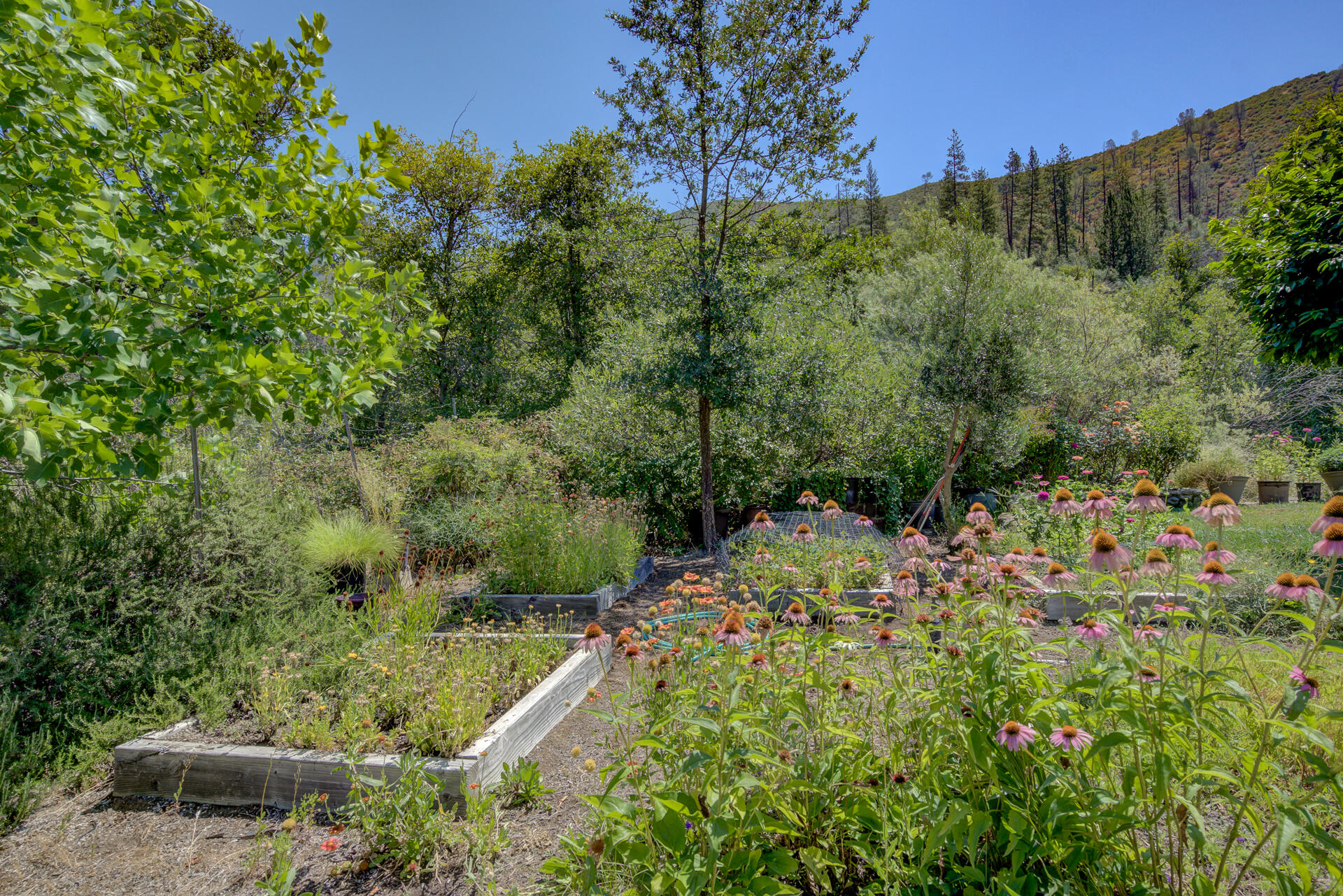 14925 Trinity Mountain Road