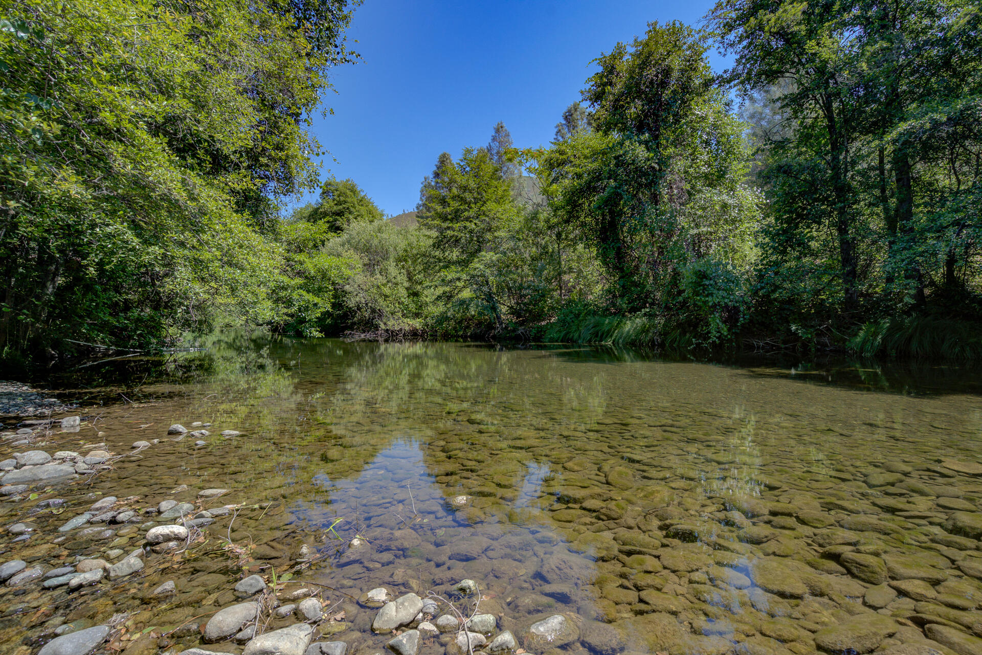 14925 Trinity Mountain Road