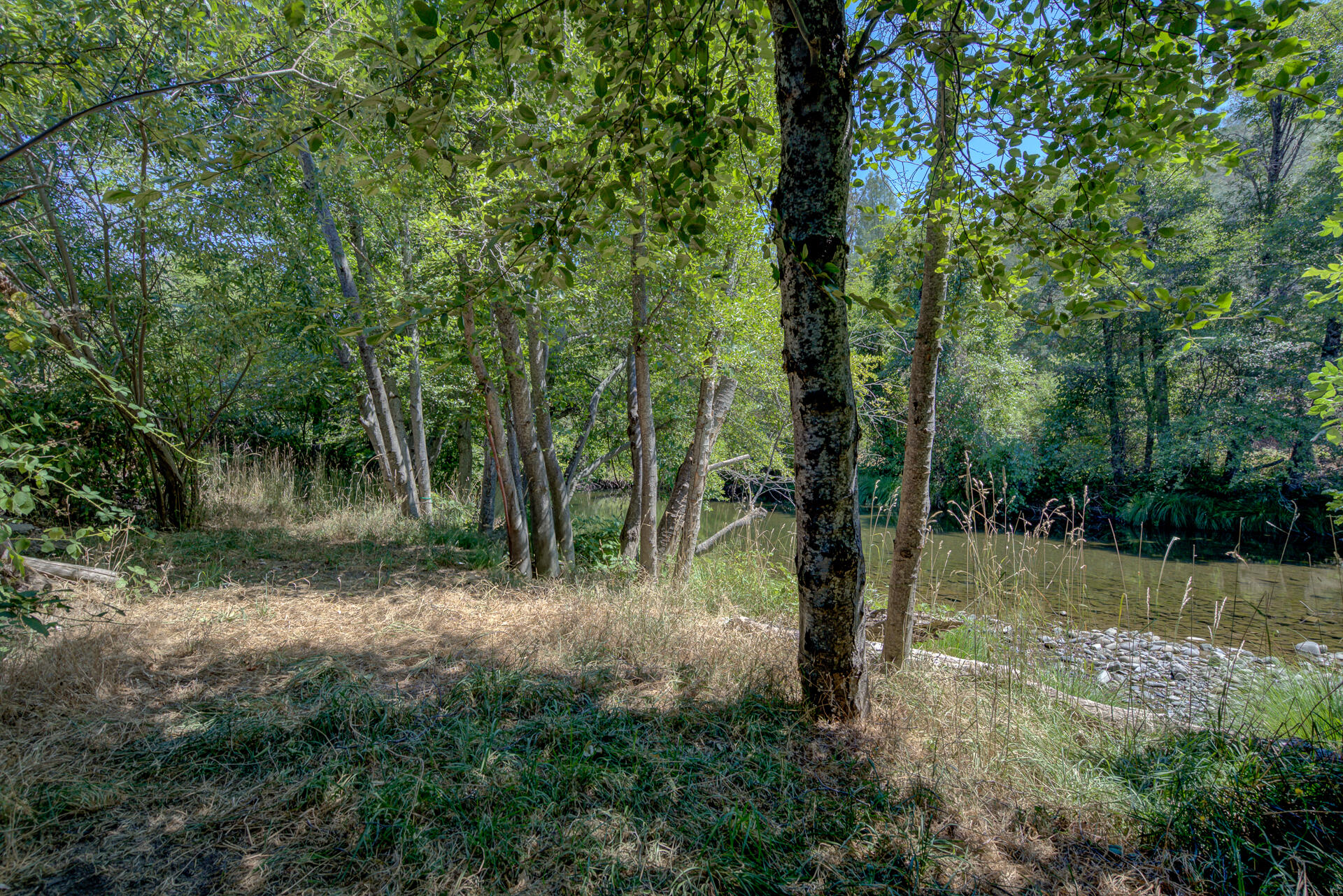 14925 Trinity Mountain Road
