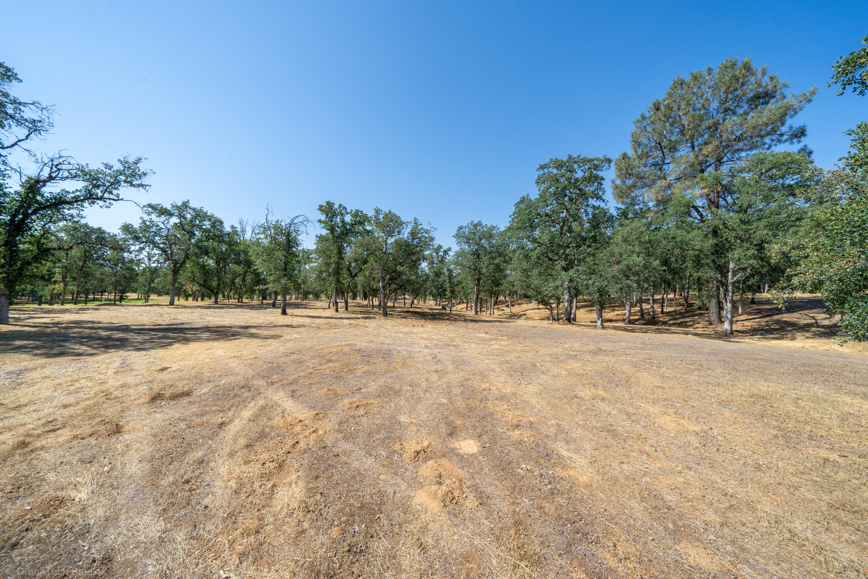 13323 Alicia Parkway
