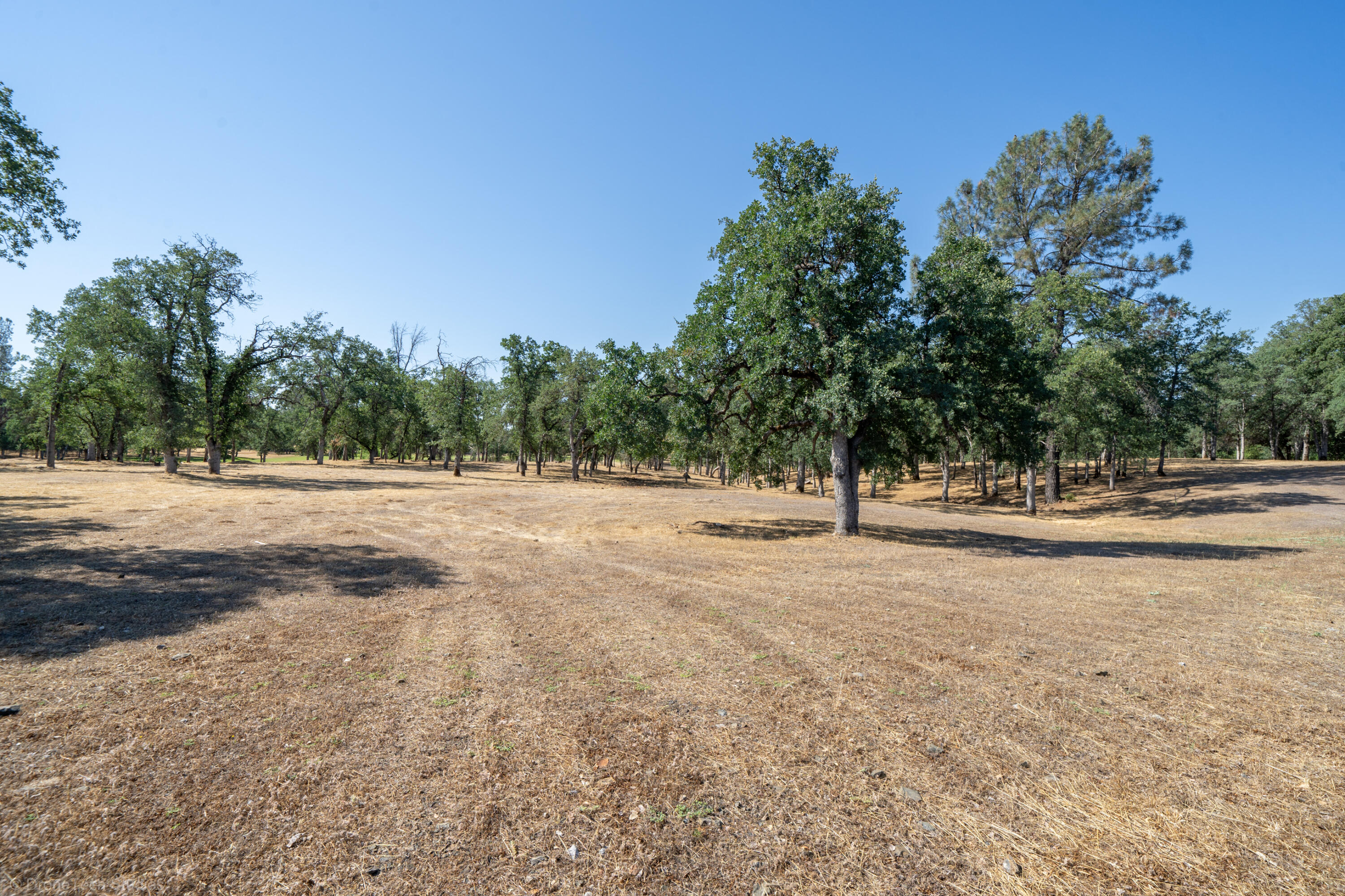13323 Alicia Parkway