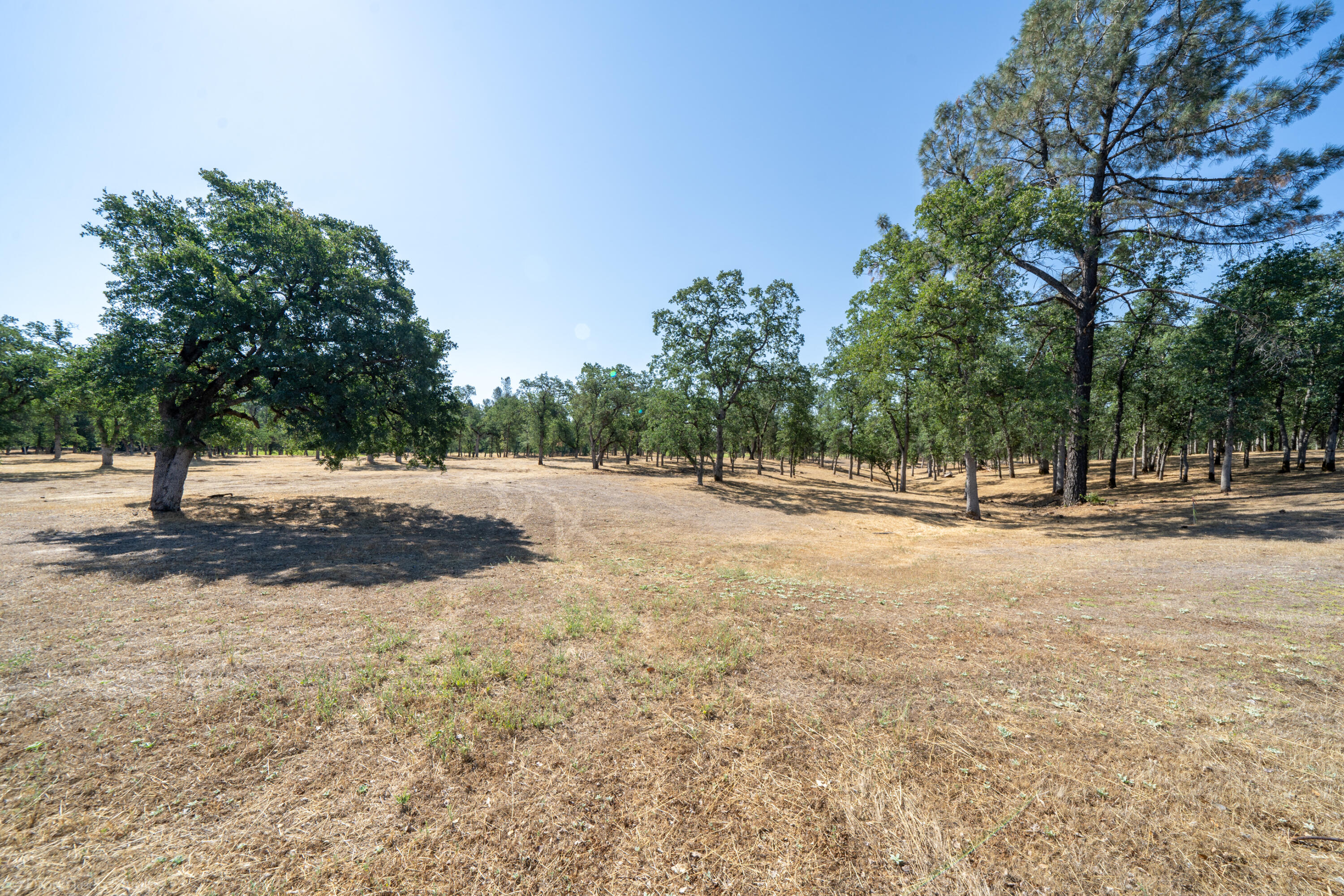 13323 Alicia Parkway