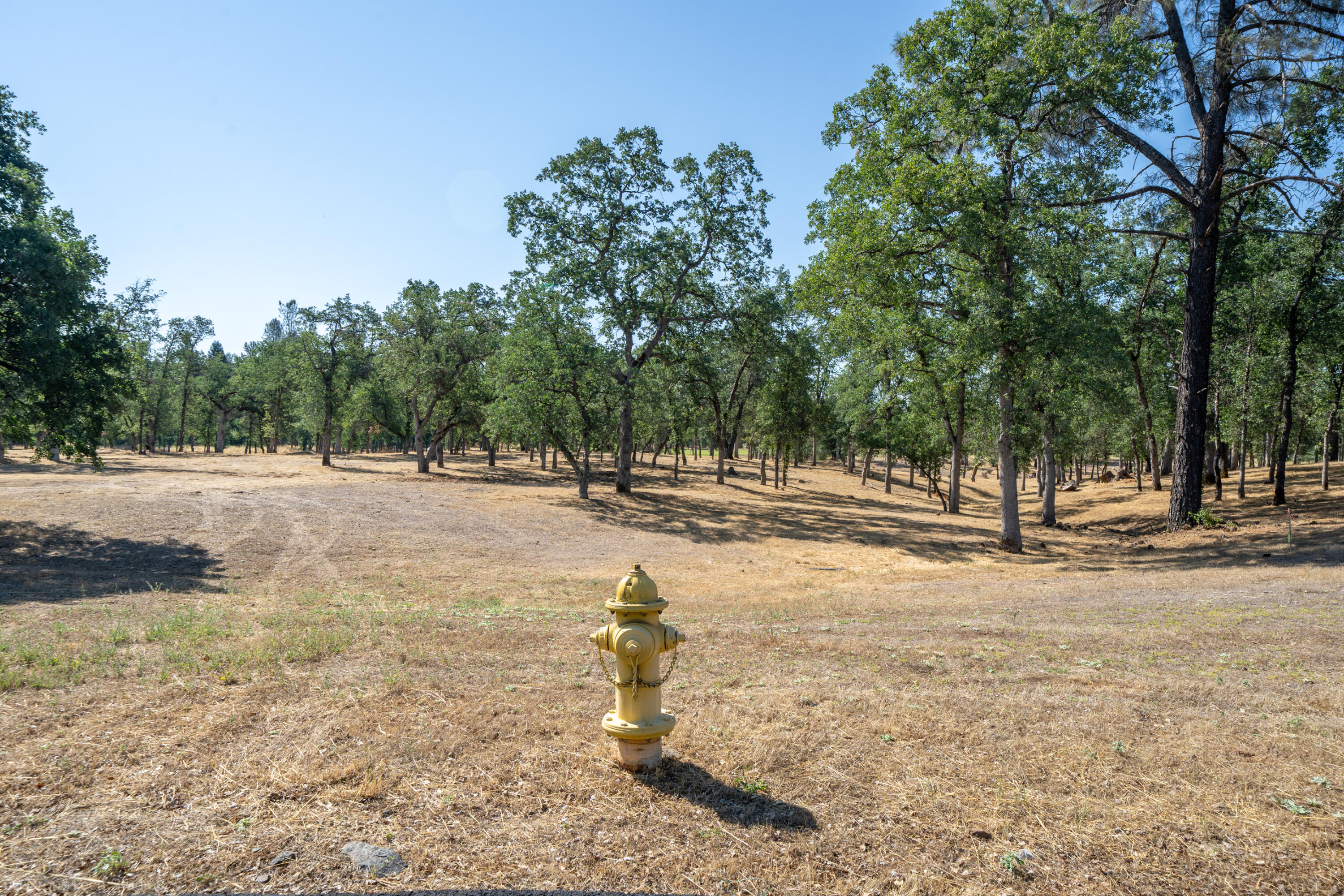 13323 Alicia Parkway