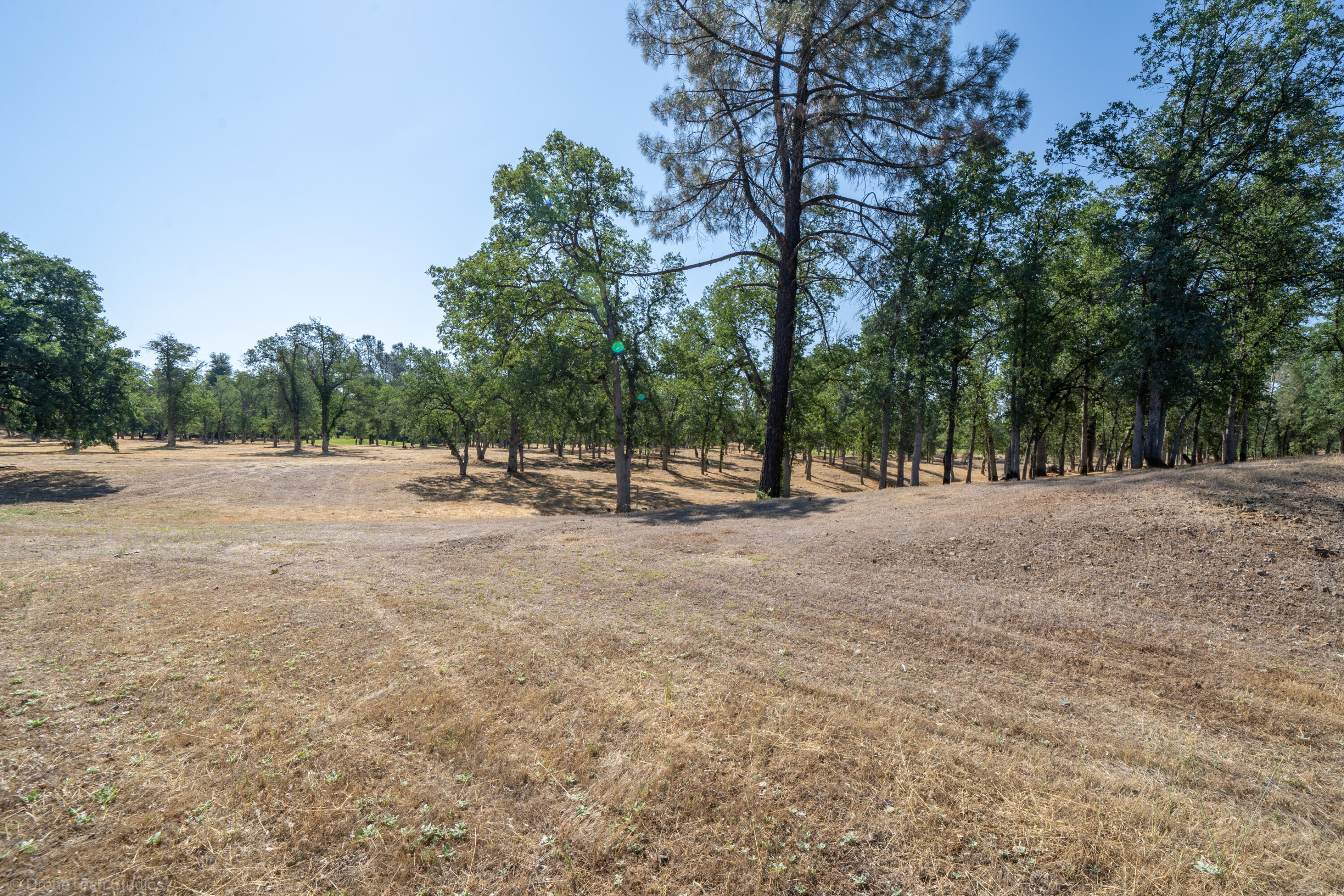 13323 Alicia Parkway