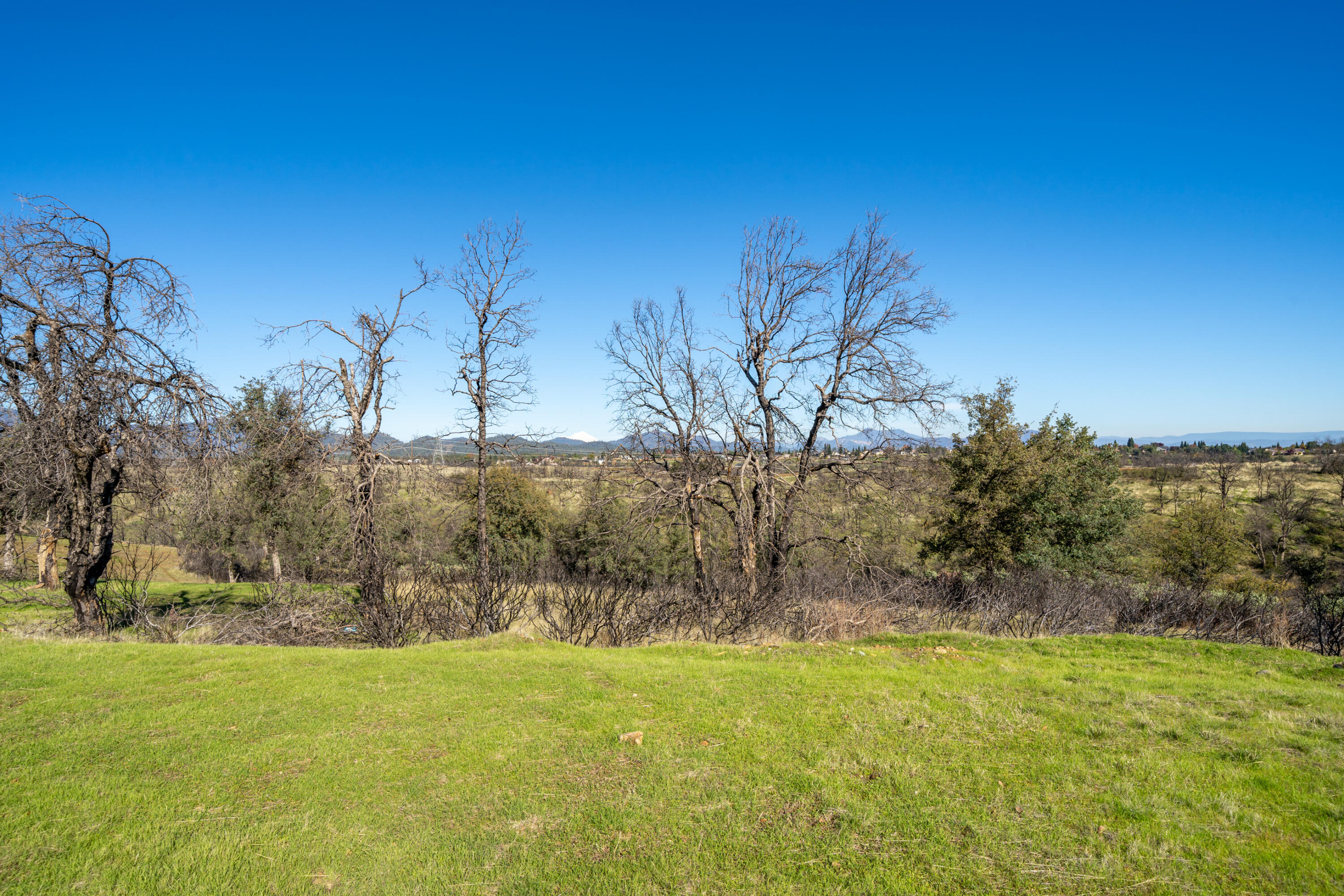 815 Santa Cruz Drive