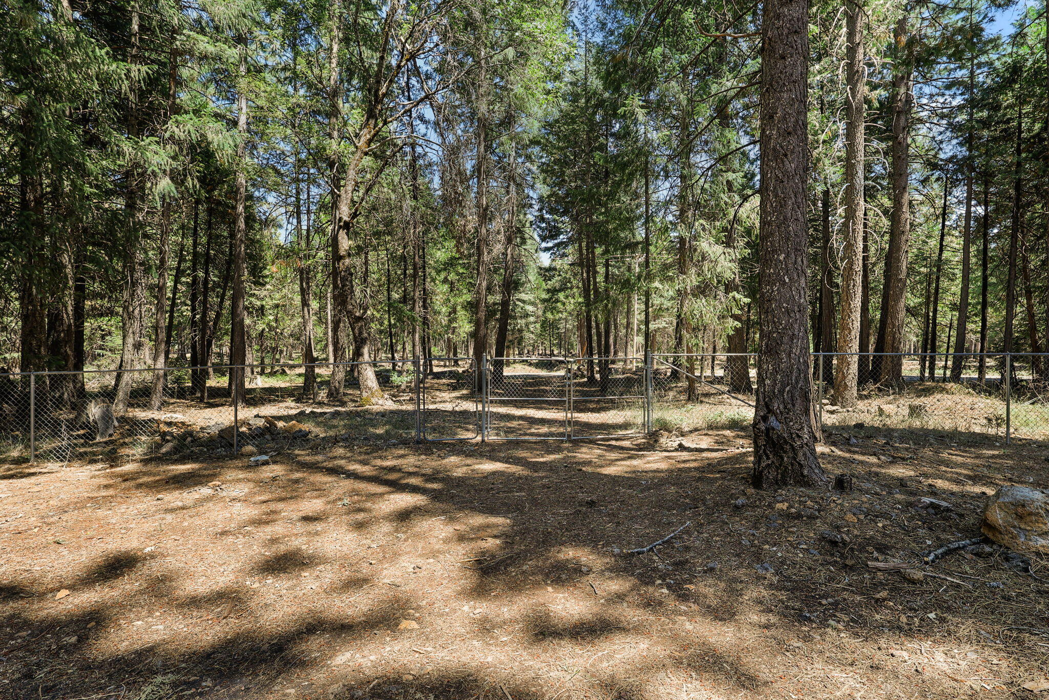 8238 Starlite Pines Road