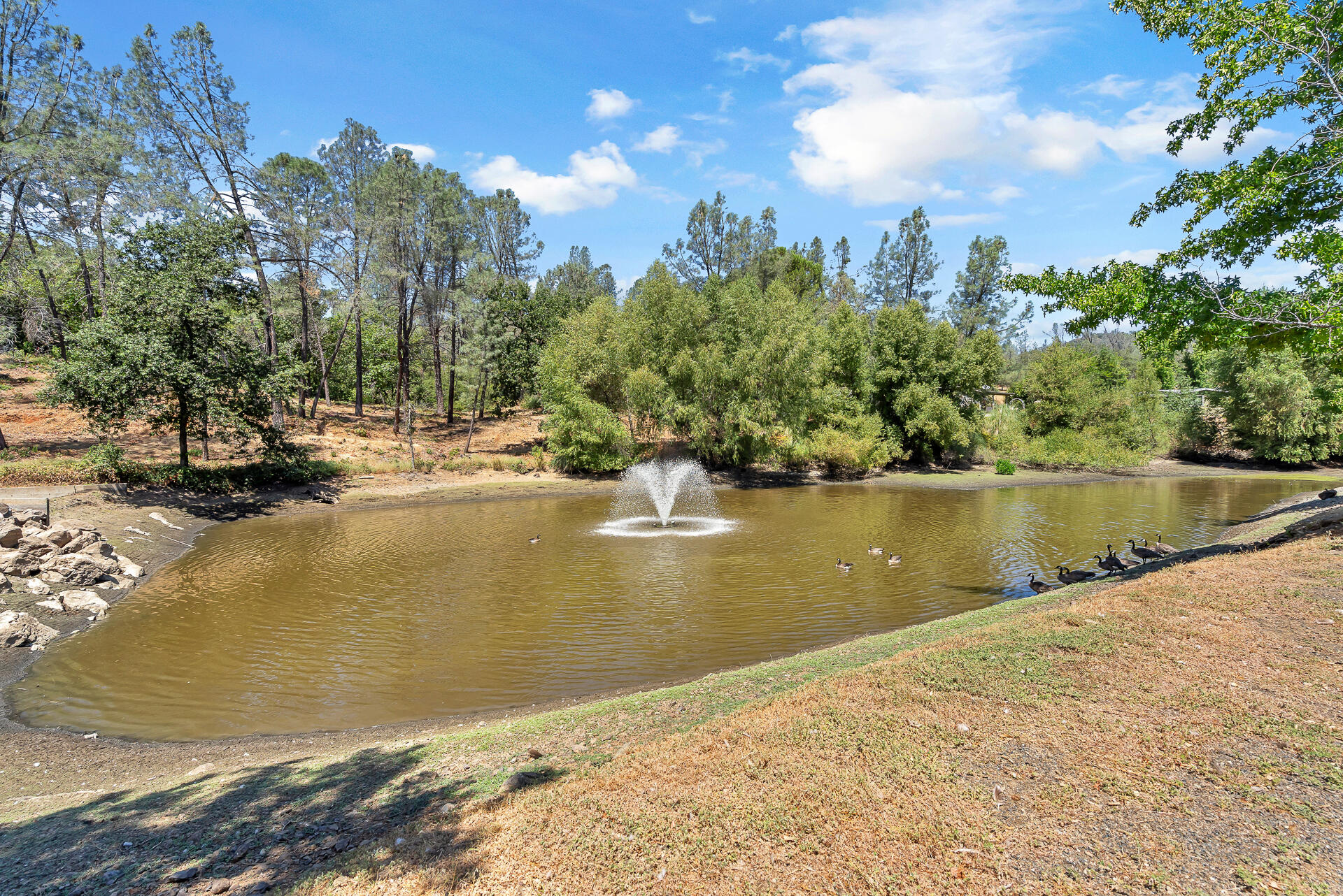 3304 Shasta Dam Boulevard, 147