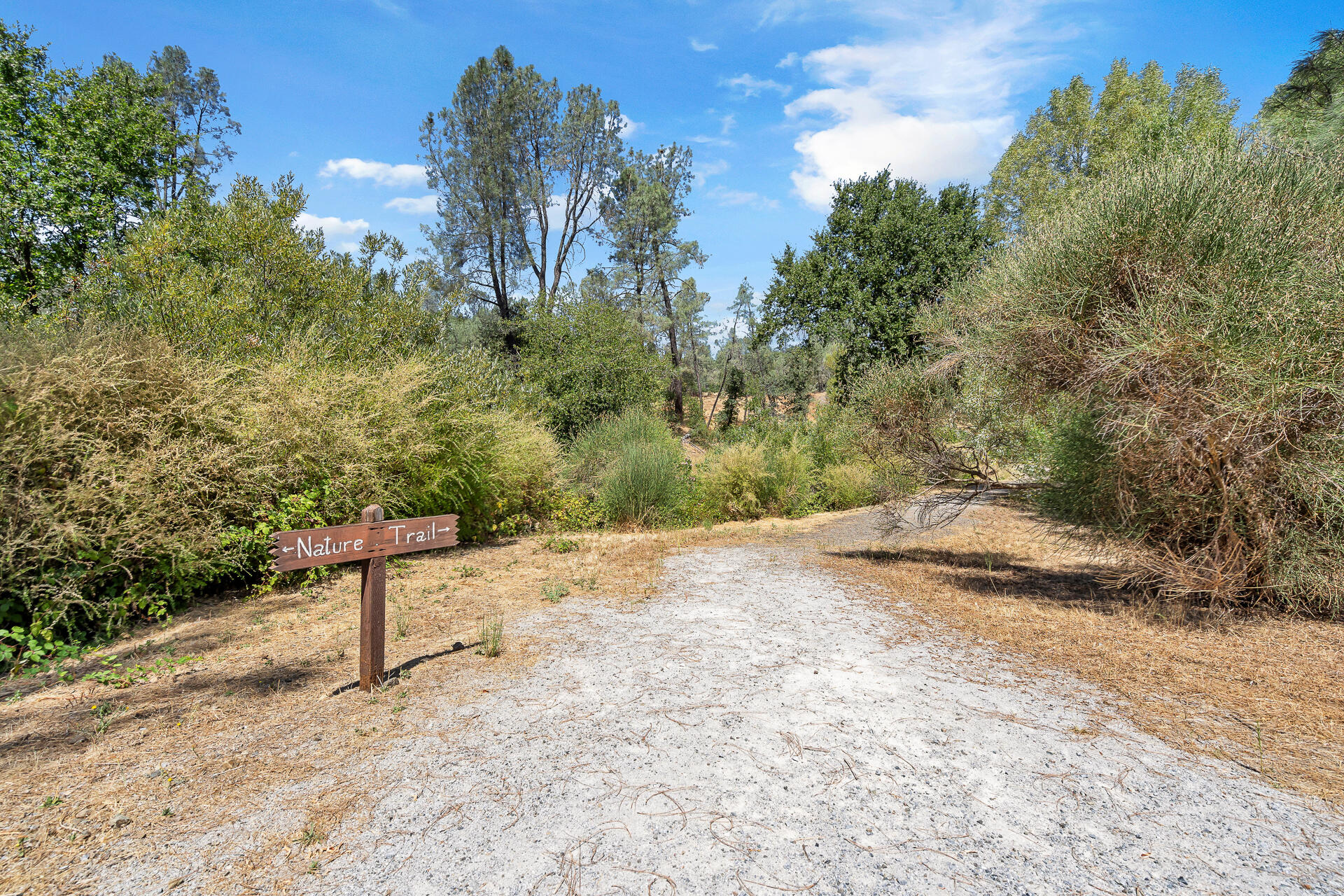 3304 Shasta Dam Boulevard, 147