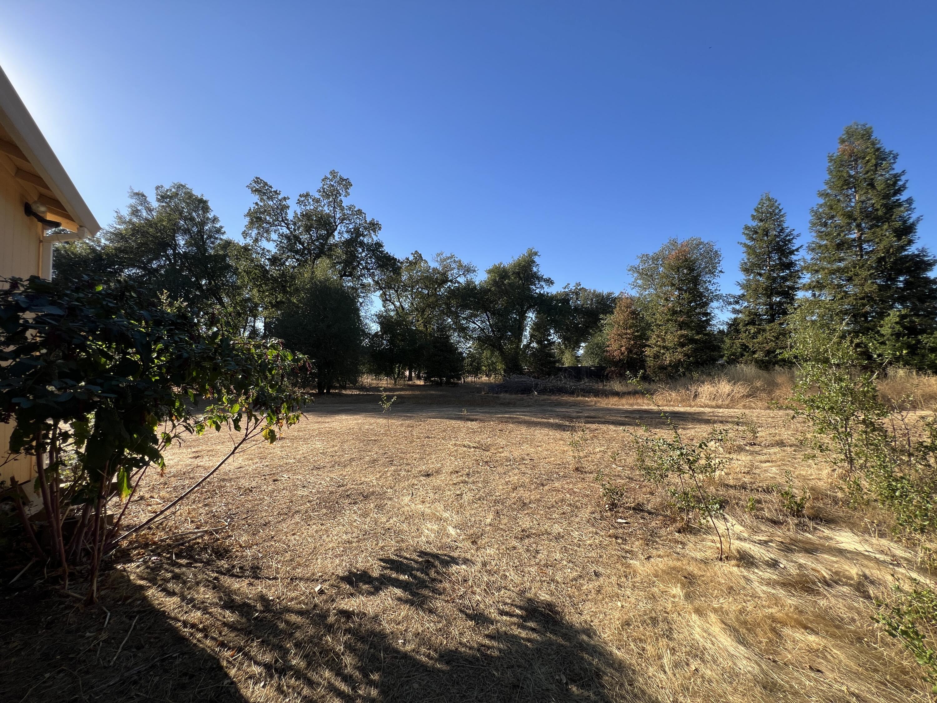 5090 Bogie Lane