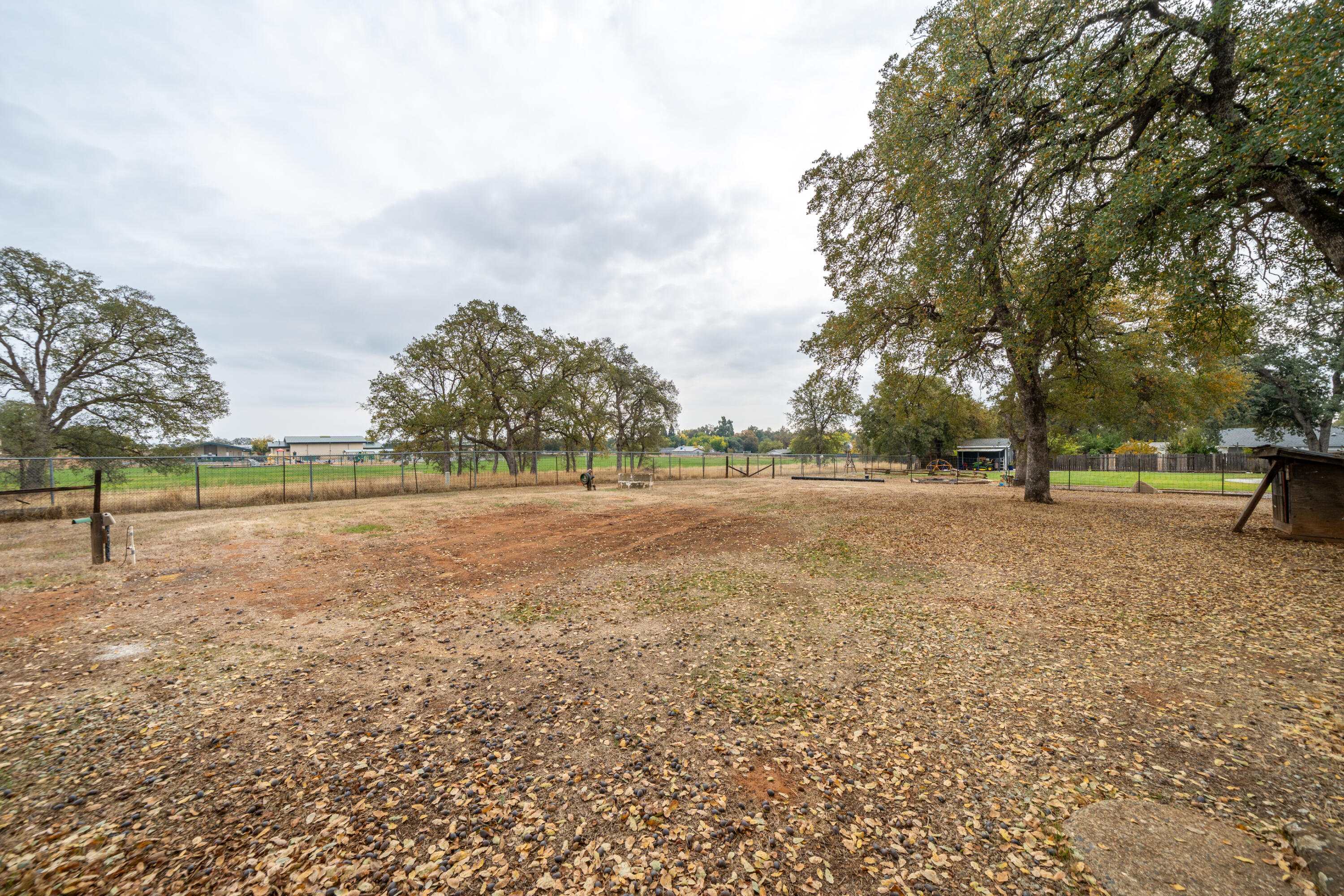 3565 Anthony Street, Cottonwood