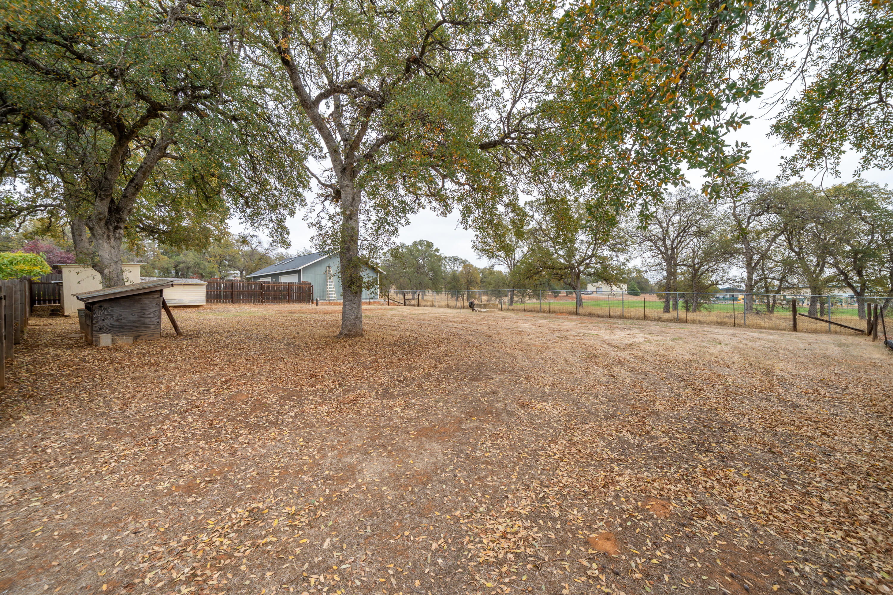 3565 Anthony Street, Cottonwood