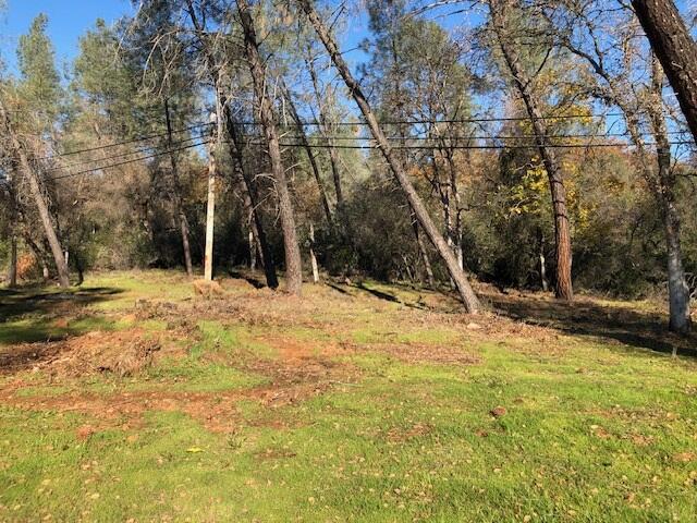 Shasta Dam Boulevard
