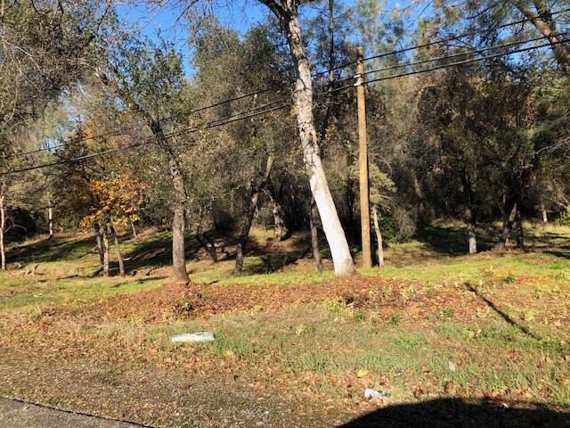 Shasta Dam Boulevard