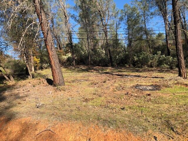 Shasta Dam Boulevard