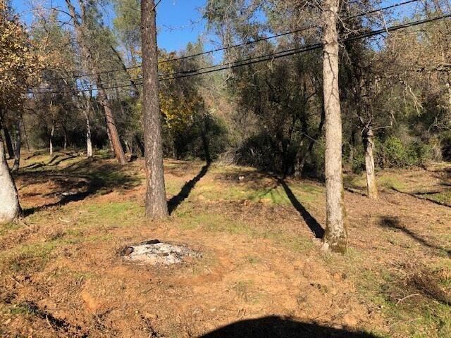 Shasta Dam Boulevard