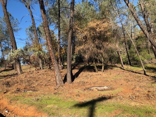 Shasta Dam Boulevard