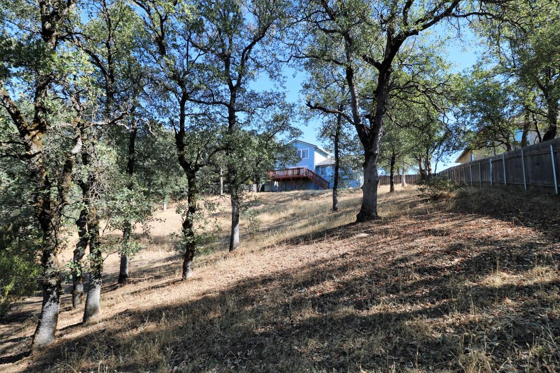 19226 Snowburst Court