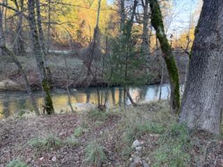 27917 Mineral School Road