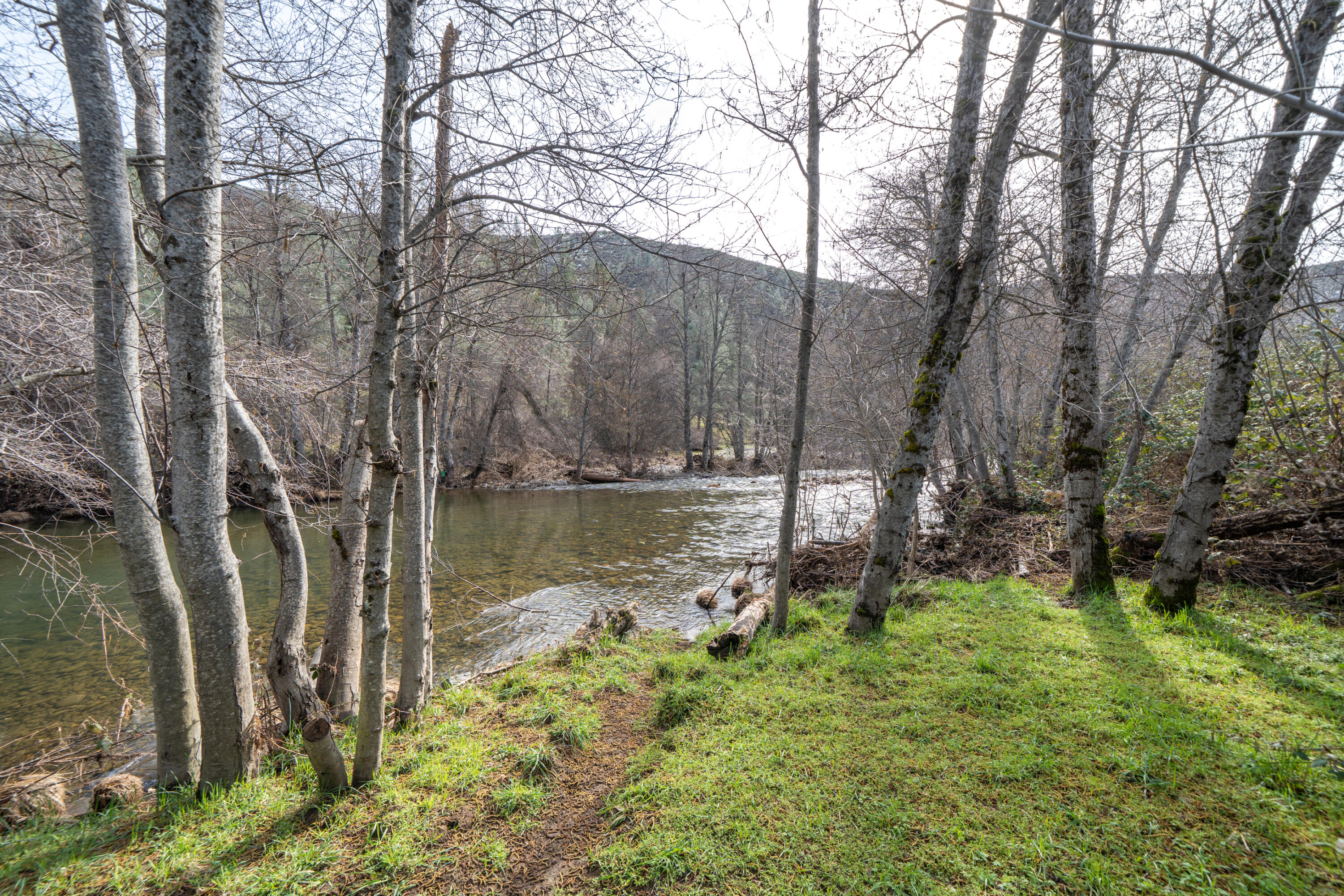 14925 Trinity Mountain Road