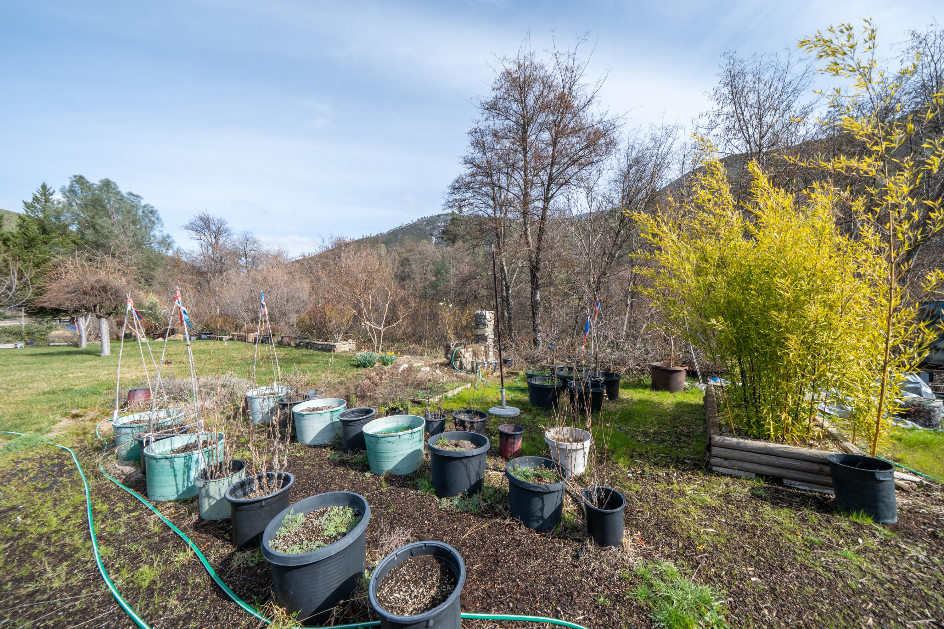 14925 Trinity Mountain Road