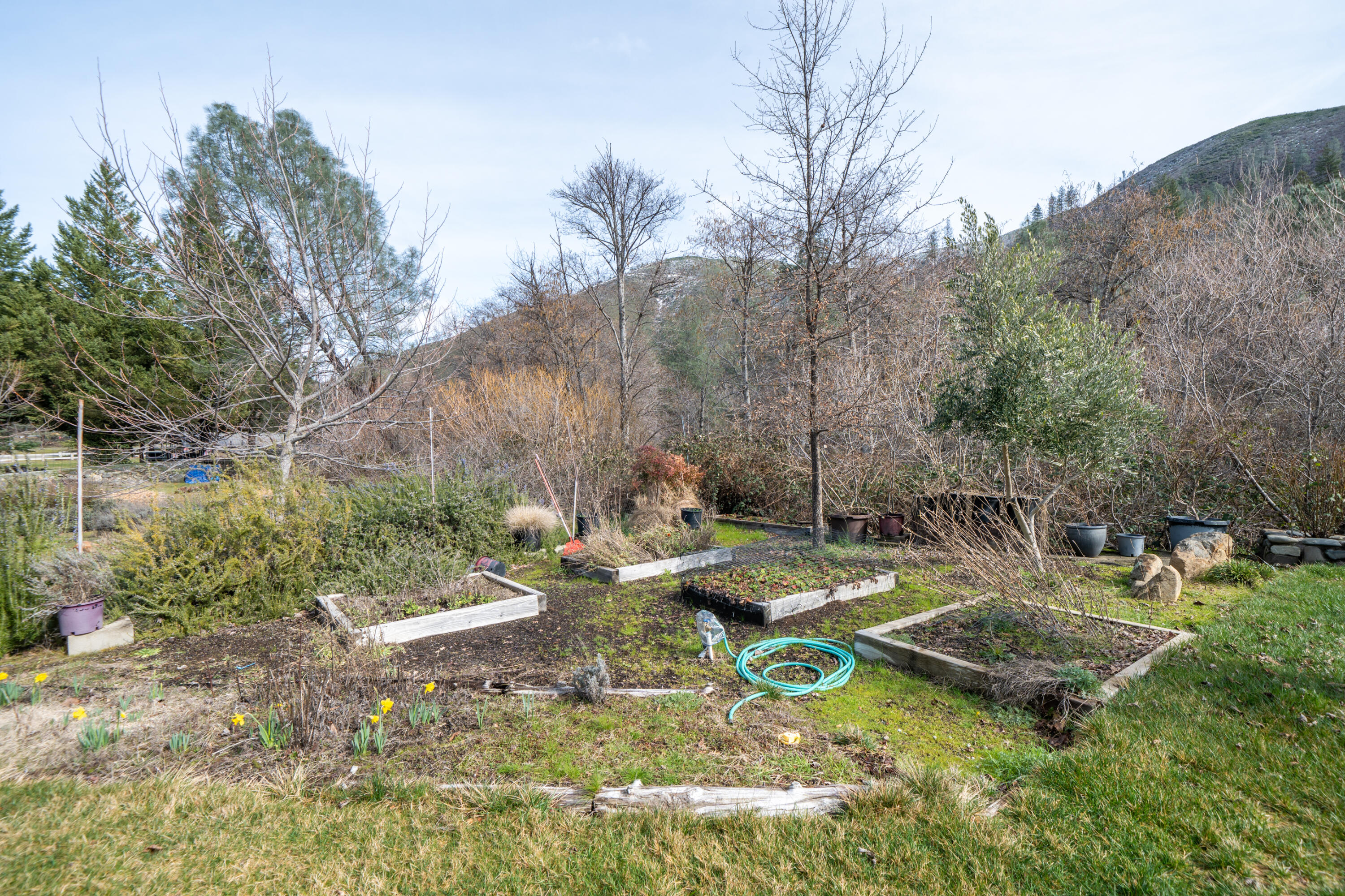 14925 Trinity Mountain Road