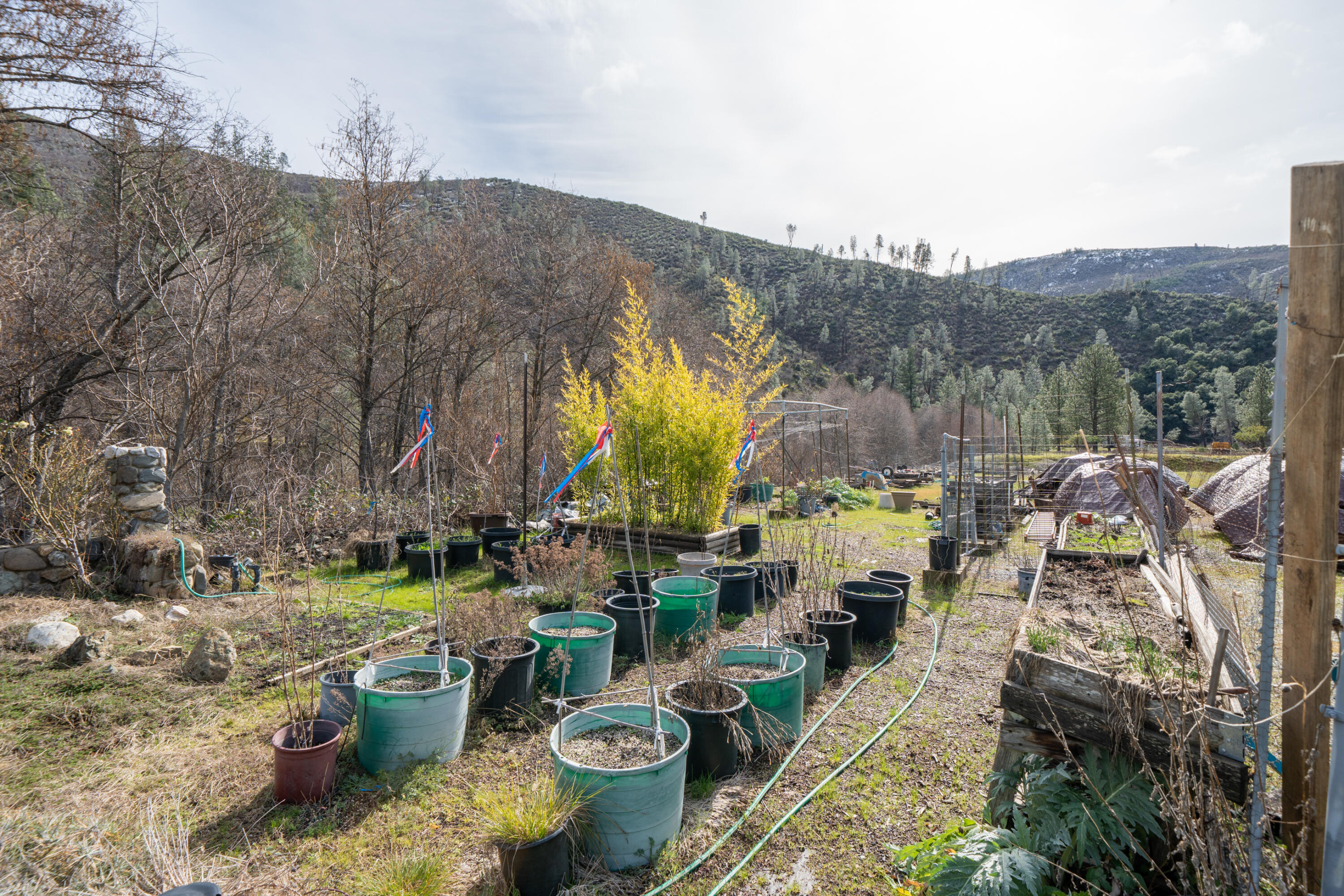 14925 Trinity Mountain Road