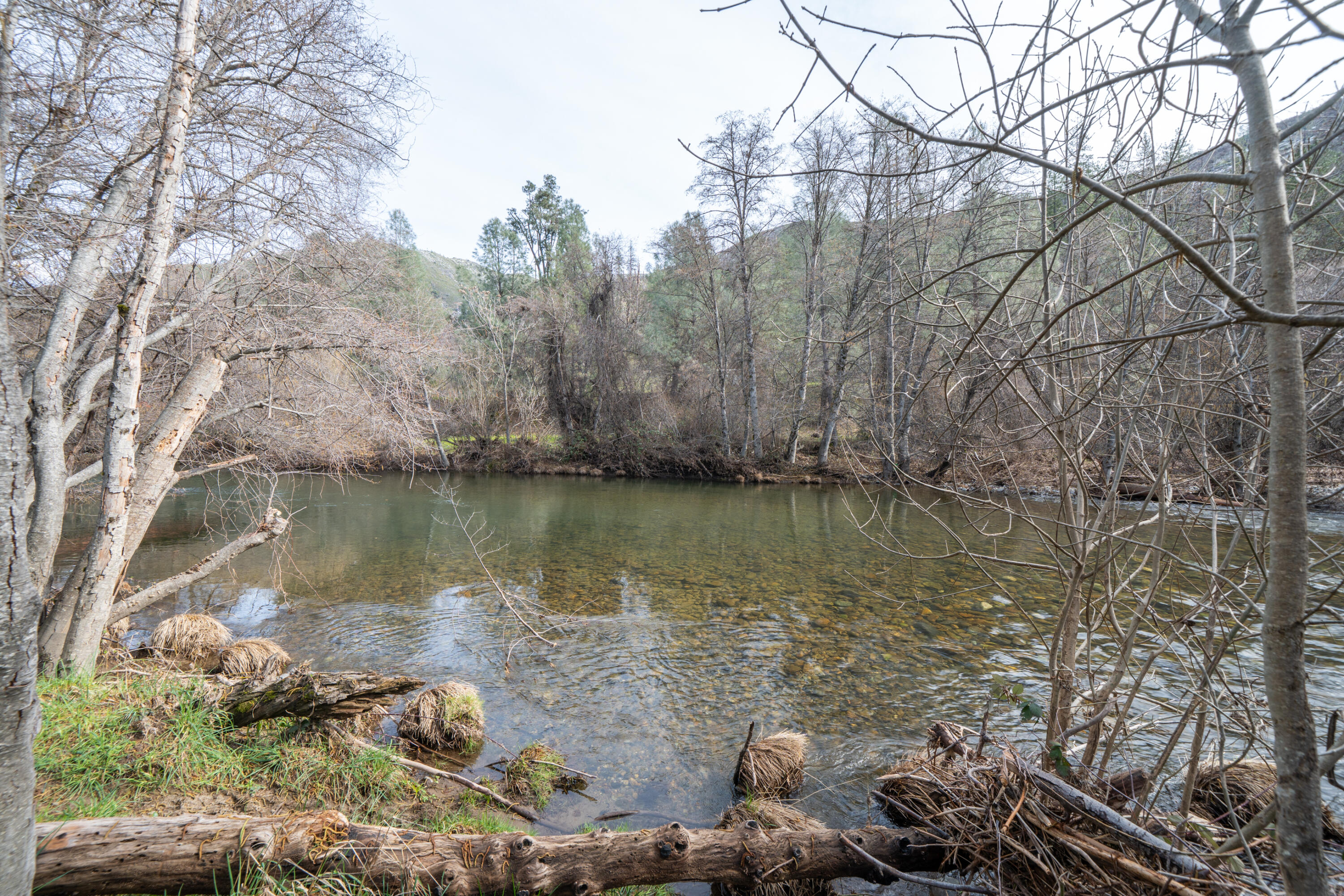 14925 Trinity Mountain Road