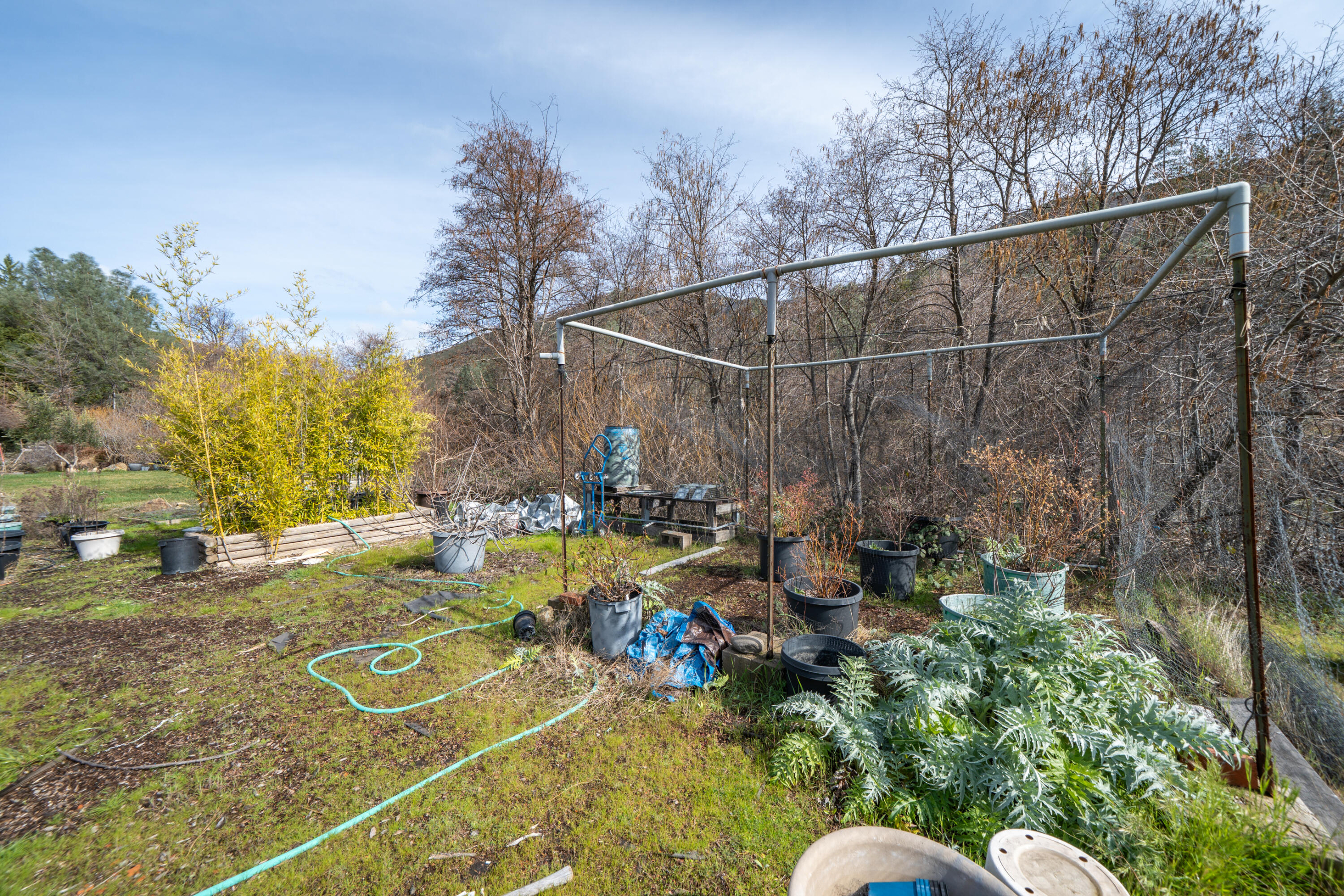 14925 Trinity Mountain Road