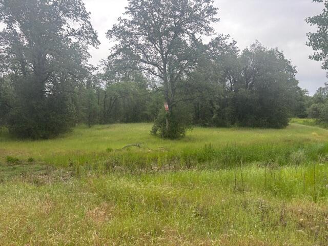 4655 Goodwater Avenue