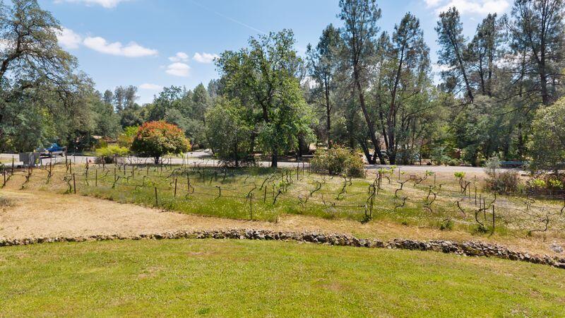 19860 Union School Road