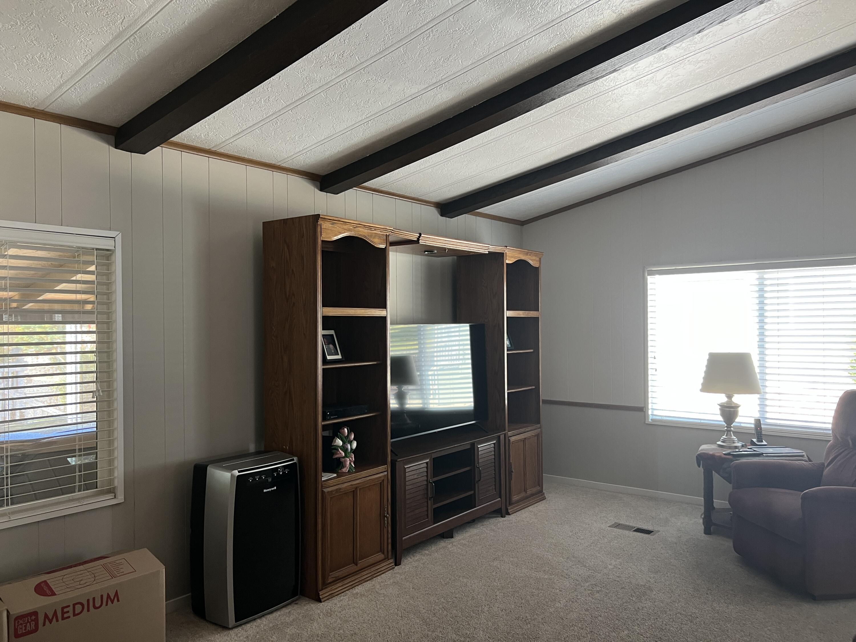 4521 Big Eagle Lane, # 295