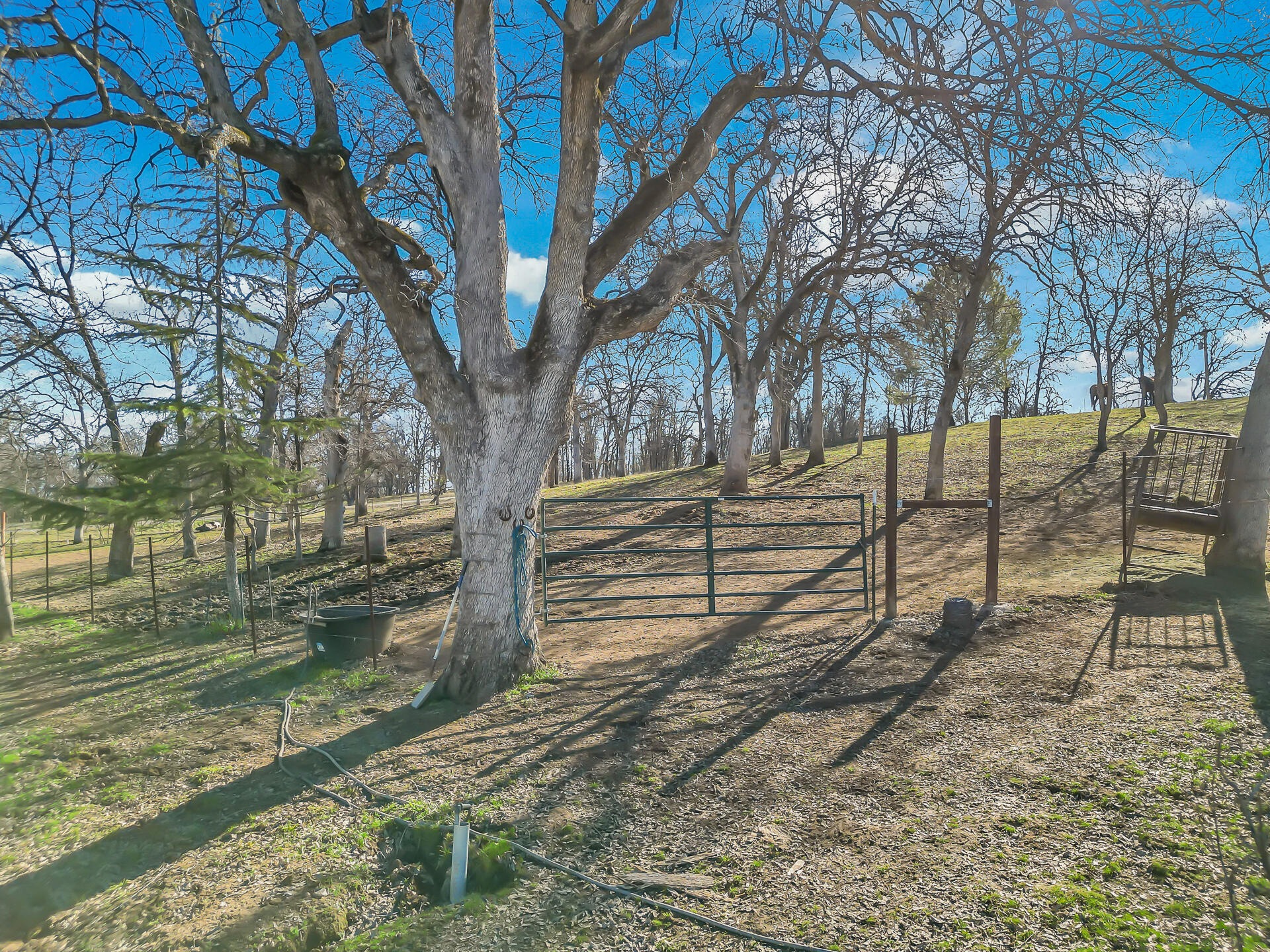 13725 Gas Point Road