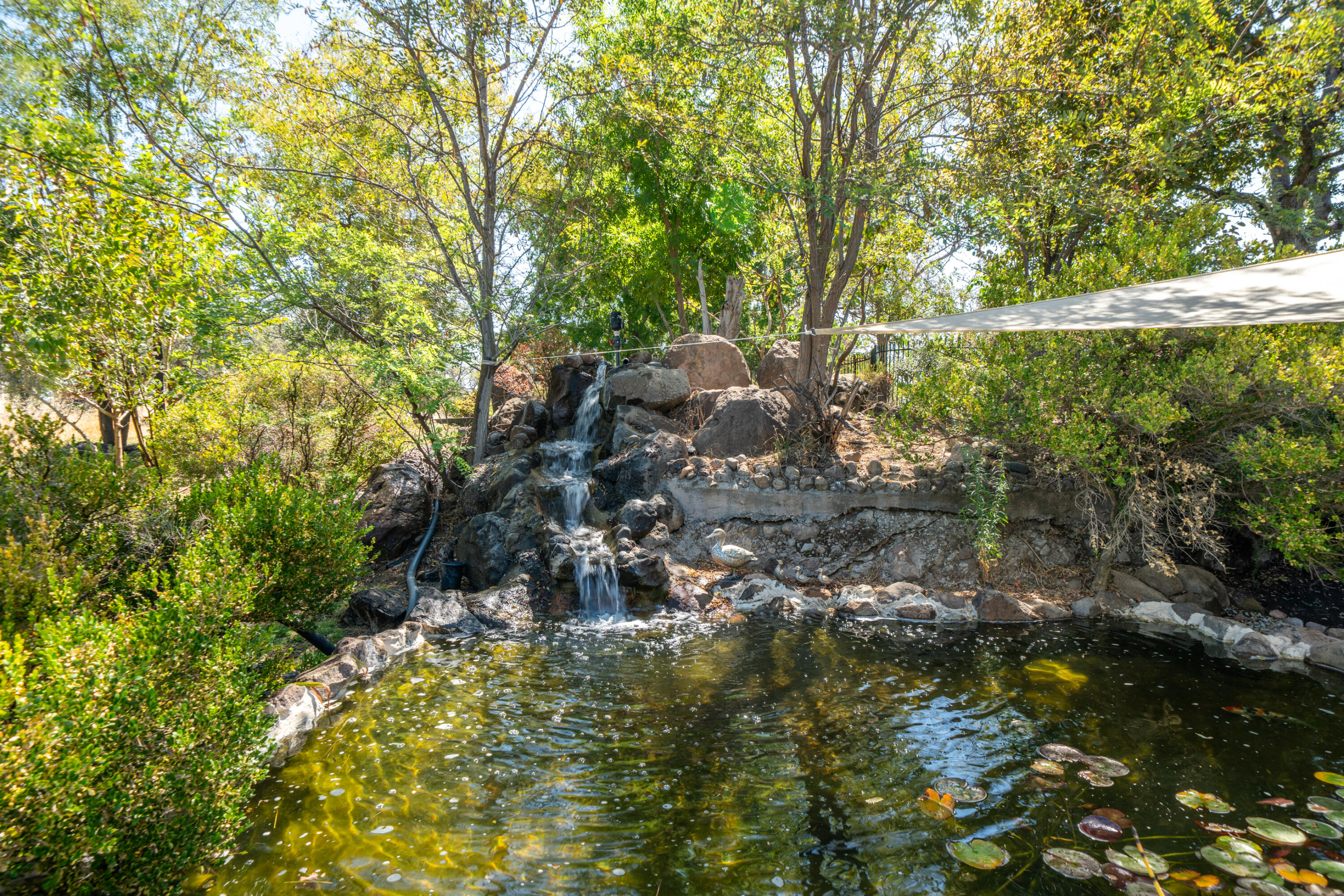 22596 Dalewood Drive