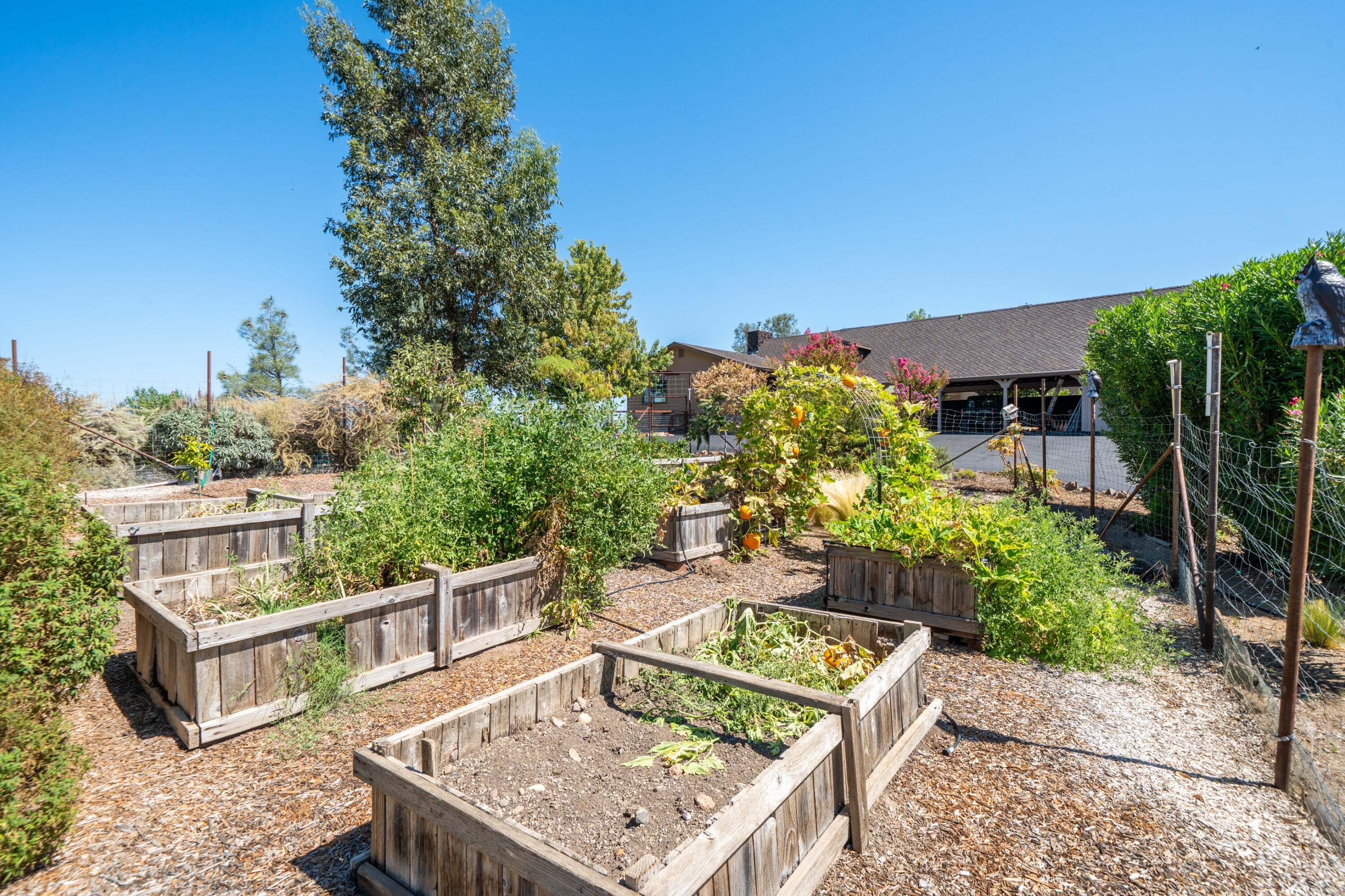 22596 Dalewood Drive
