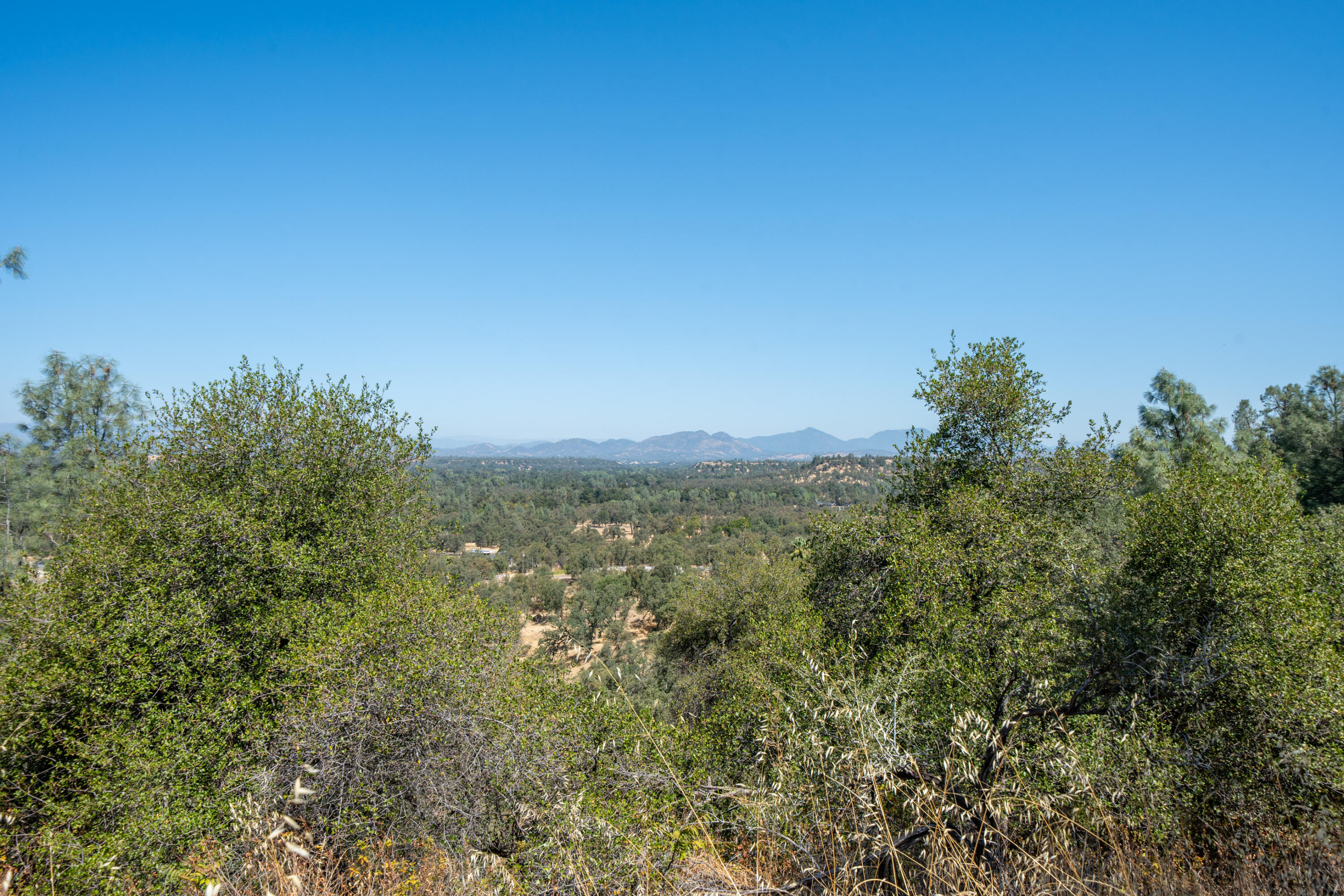 22596 Dalewood Drive