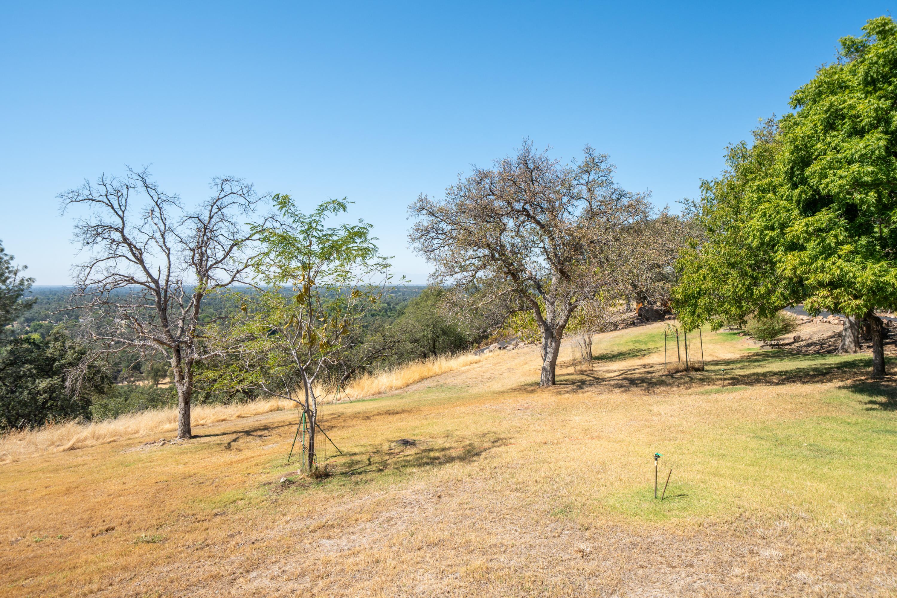22596 Dalewood Drive