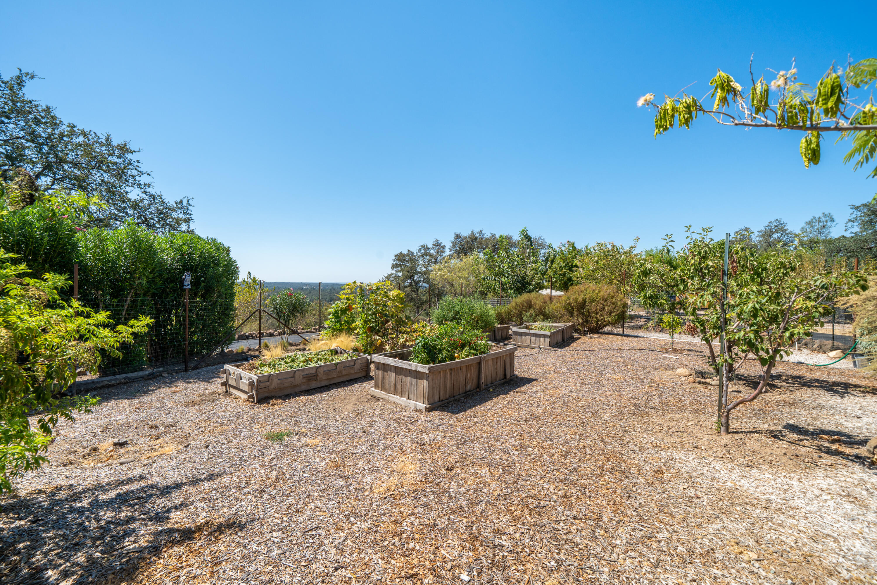 22596 Dalewood Drive