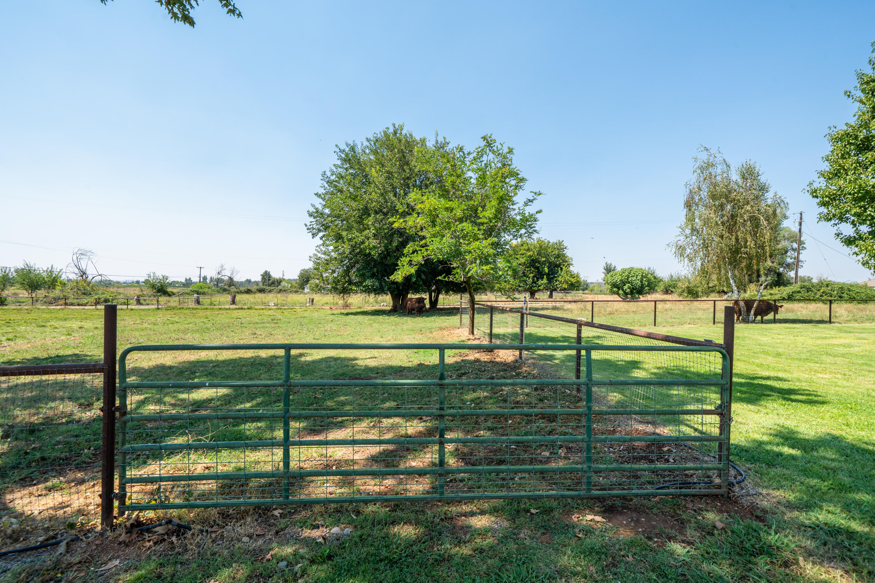 22058 Lone Tree Road