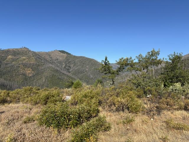 23896 Little Slate Creek Road
