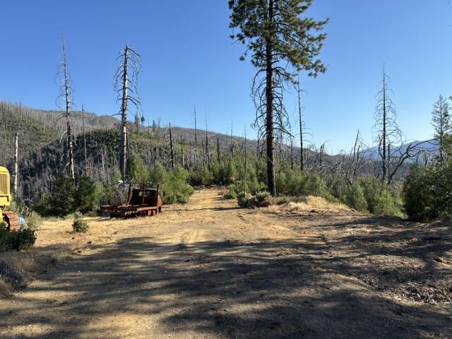 23896 Little Slate Creek Road