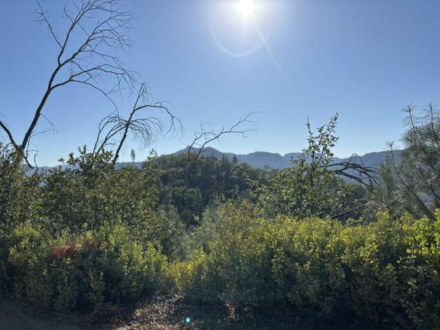 23896 Little Slate Creek Road
