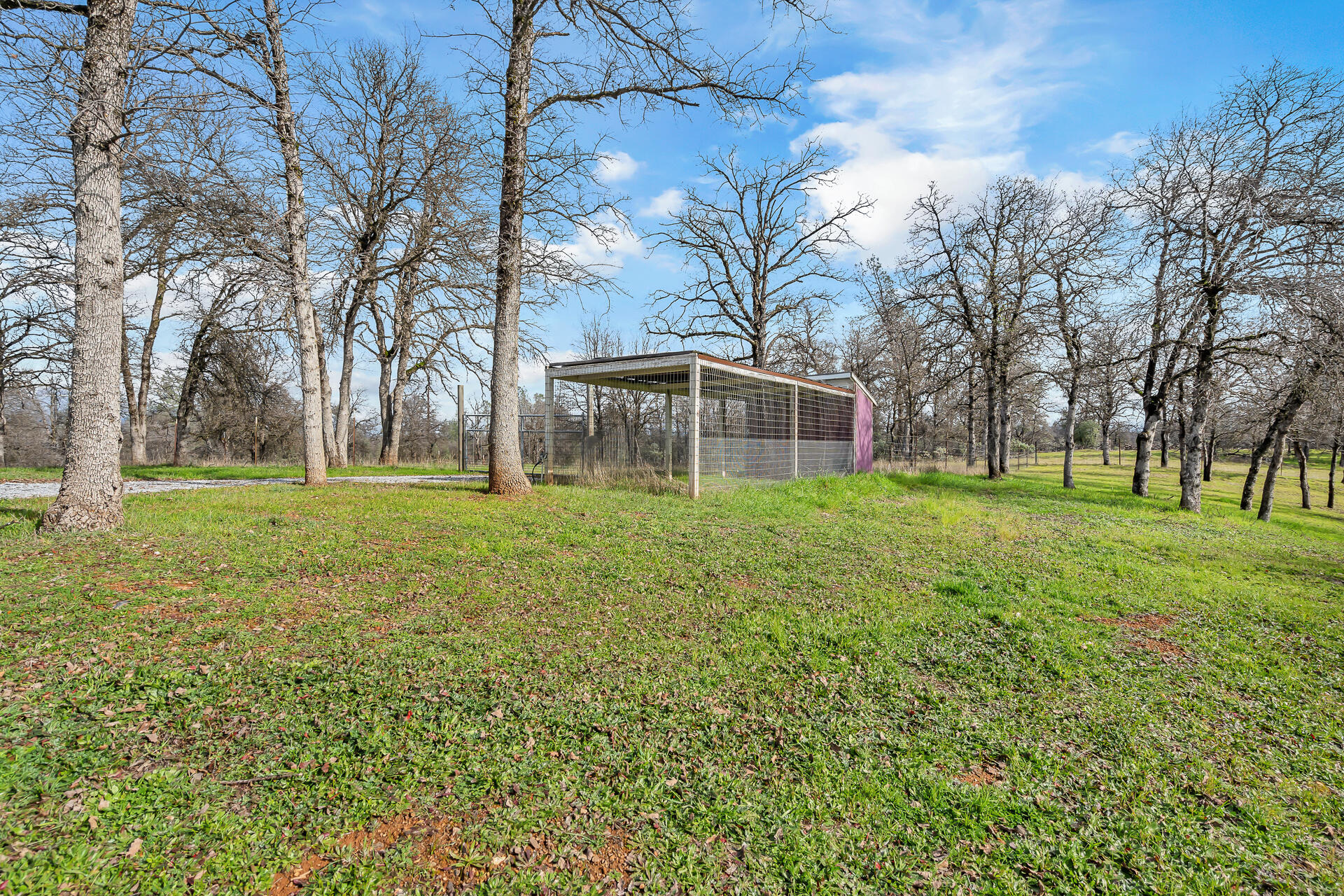 12249 Manzanoaks Drive