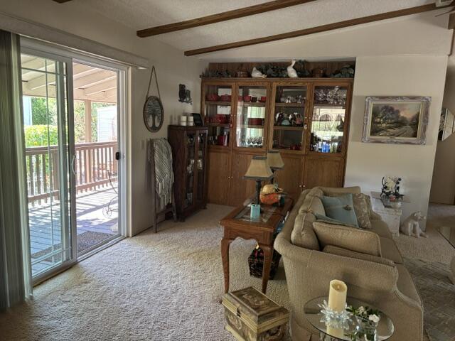 394 Logwood Drive