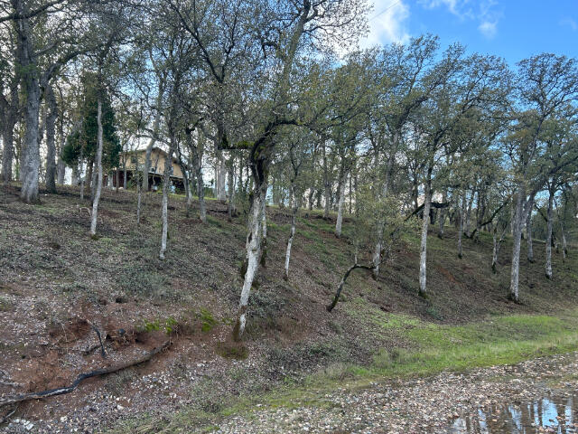 16715 Golden Arrow Drive